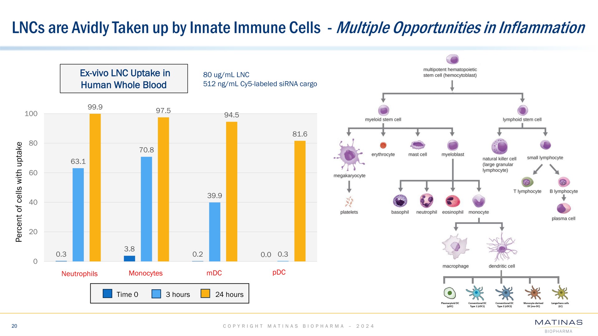 are avidly taken up by innate immune cells multiple opportunities in inflammation tiple cog us | Matinas BioPharma