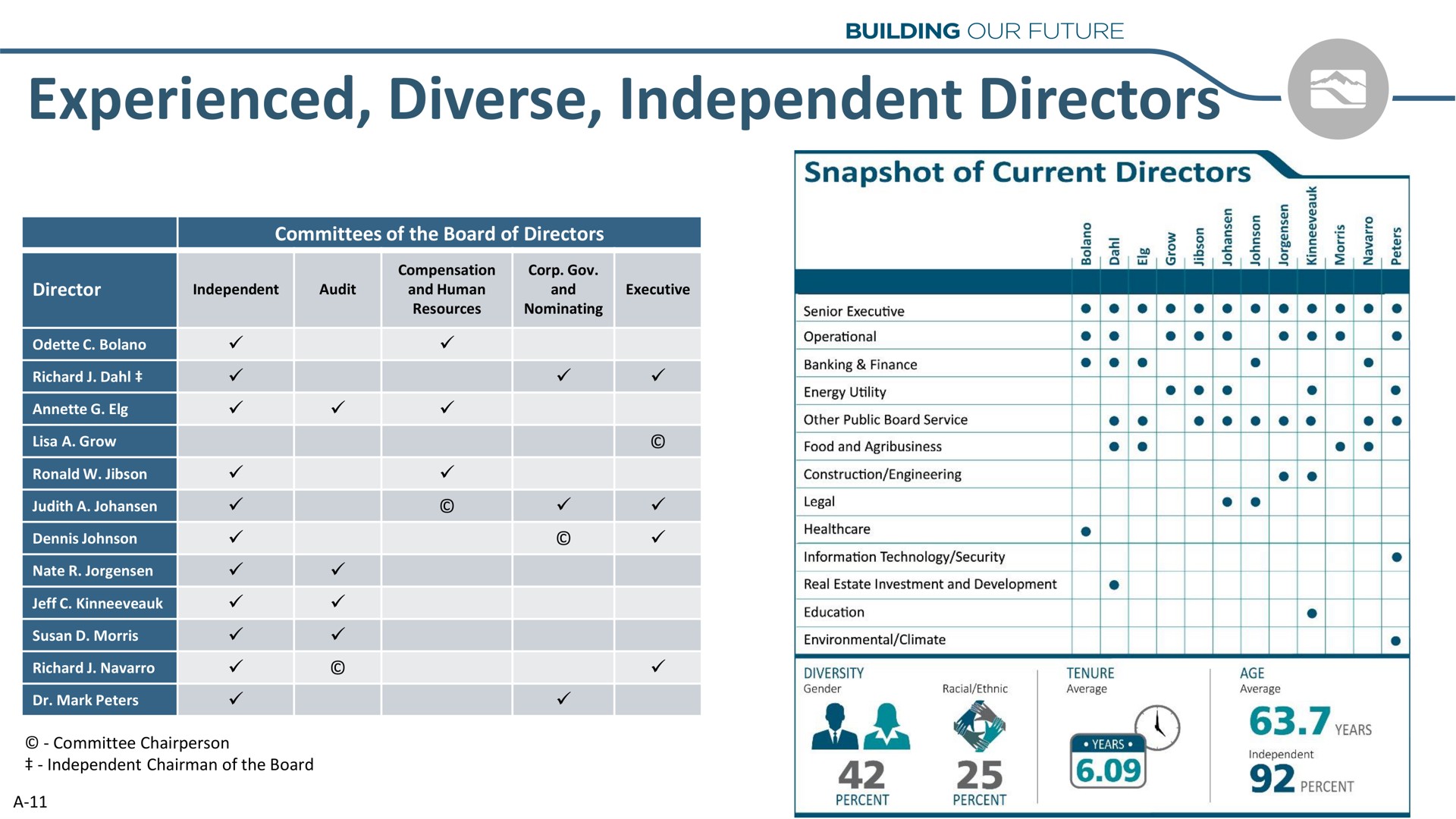 experienced diverse independent directors race | Idacorp