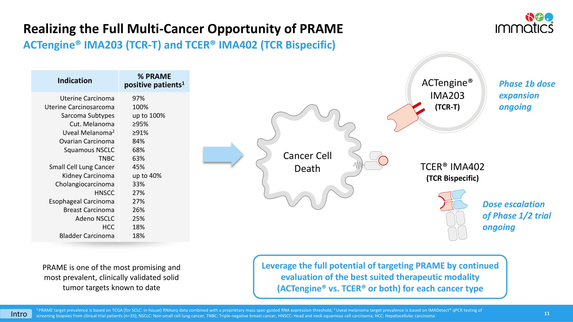 realizing the full cancer opportunity of | Immatics