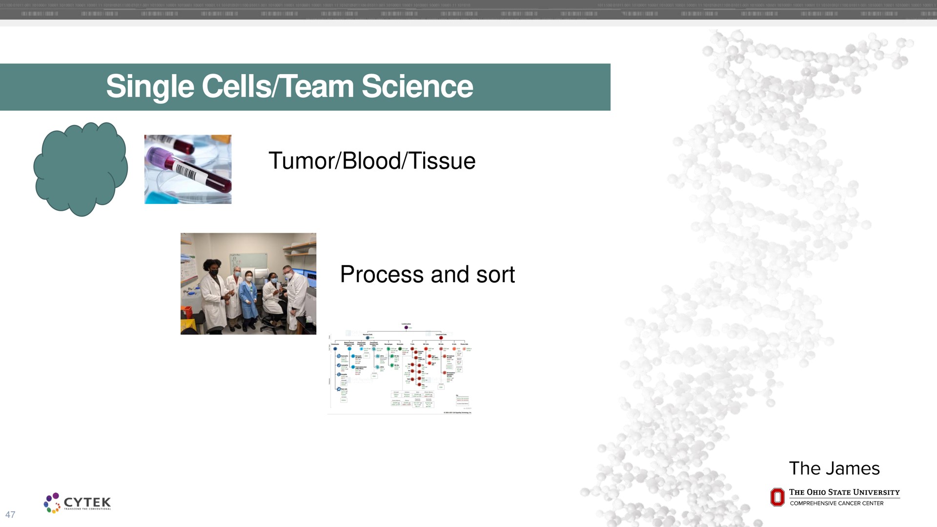 single cells team science tumor blood tissue | Cytek