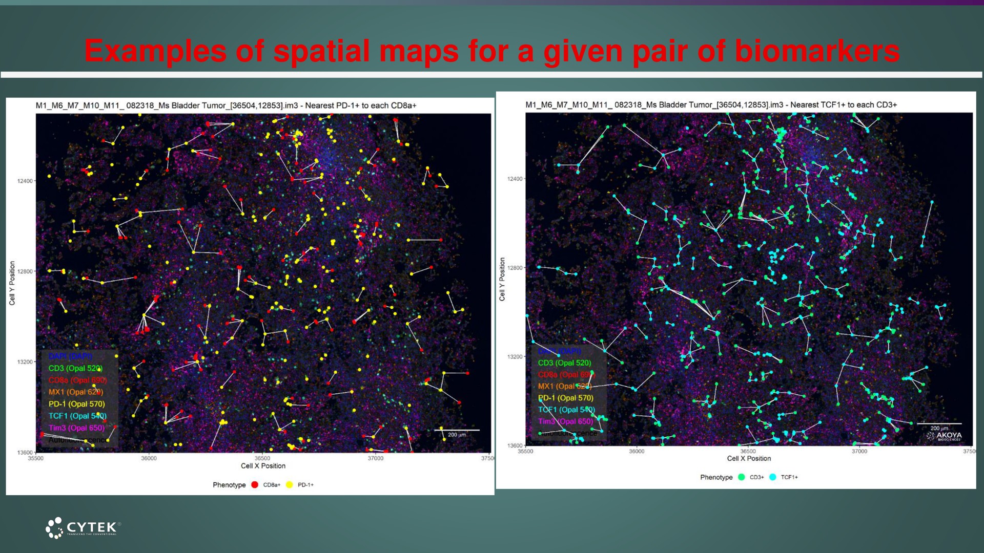 examples of spatial maps for a given pair of | Cytek