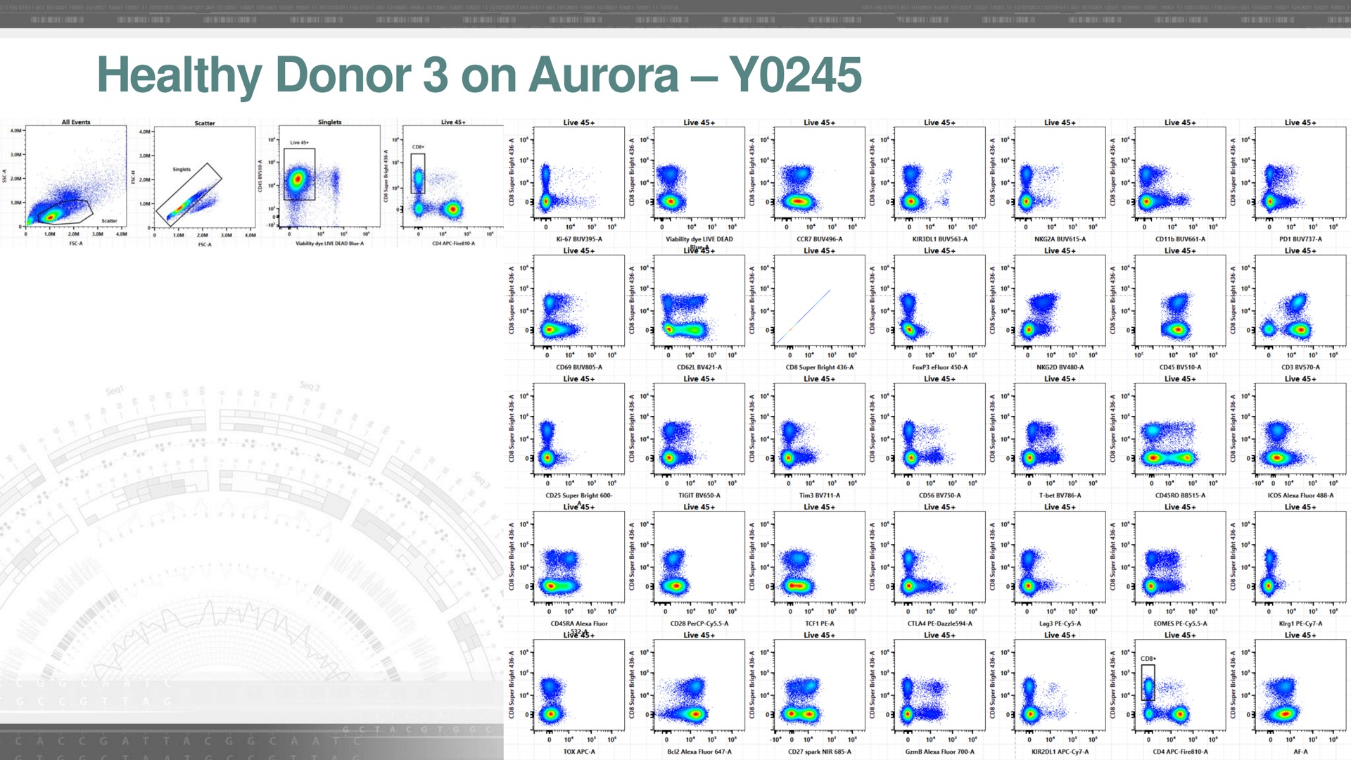 healthy donor on aurora | Cytek