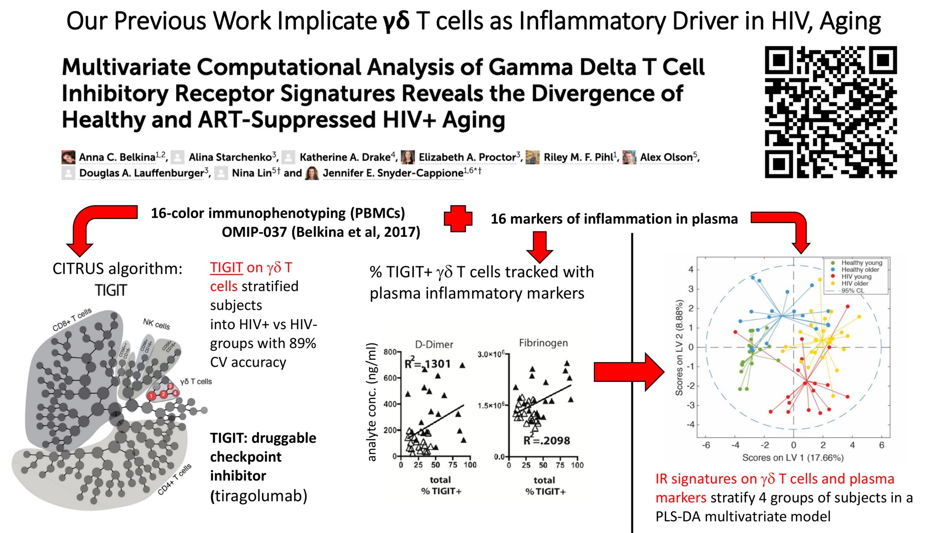 our previous work implicate cells as inflammatory driver in aging computational analysis of gamma delta cell inhibitory receptor signatures reveals the divergence of healthy and art suppressed | Cytek