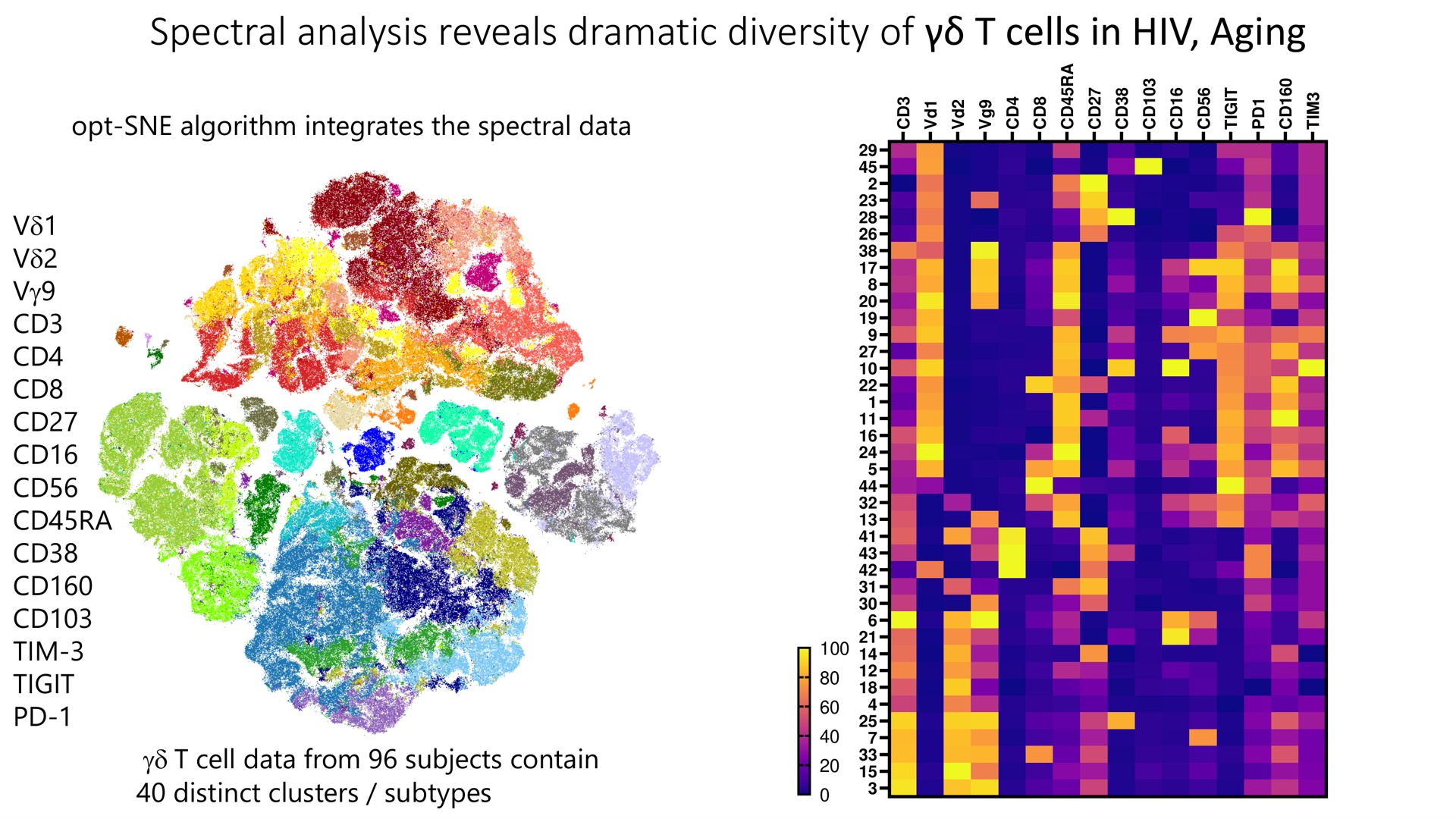 spectral analysis reveals dramatic diversity of cells in aging | Cytek
