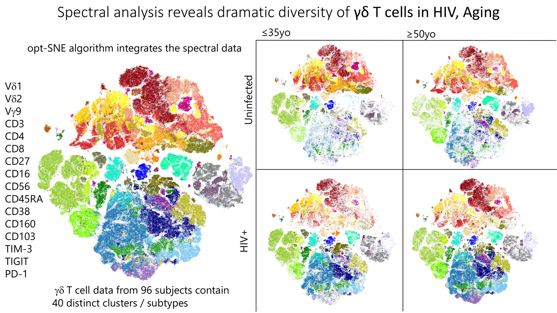 spectral analysis reveals dramatic diversity of cells in aging | Cytek