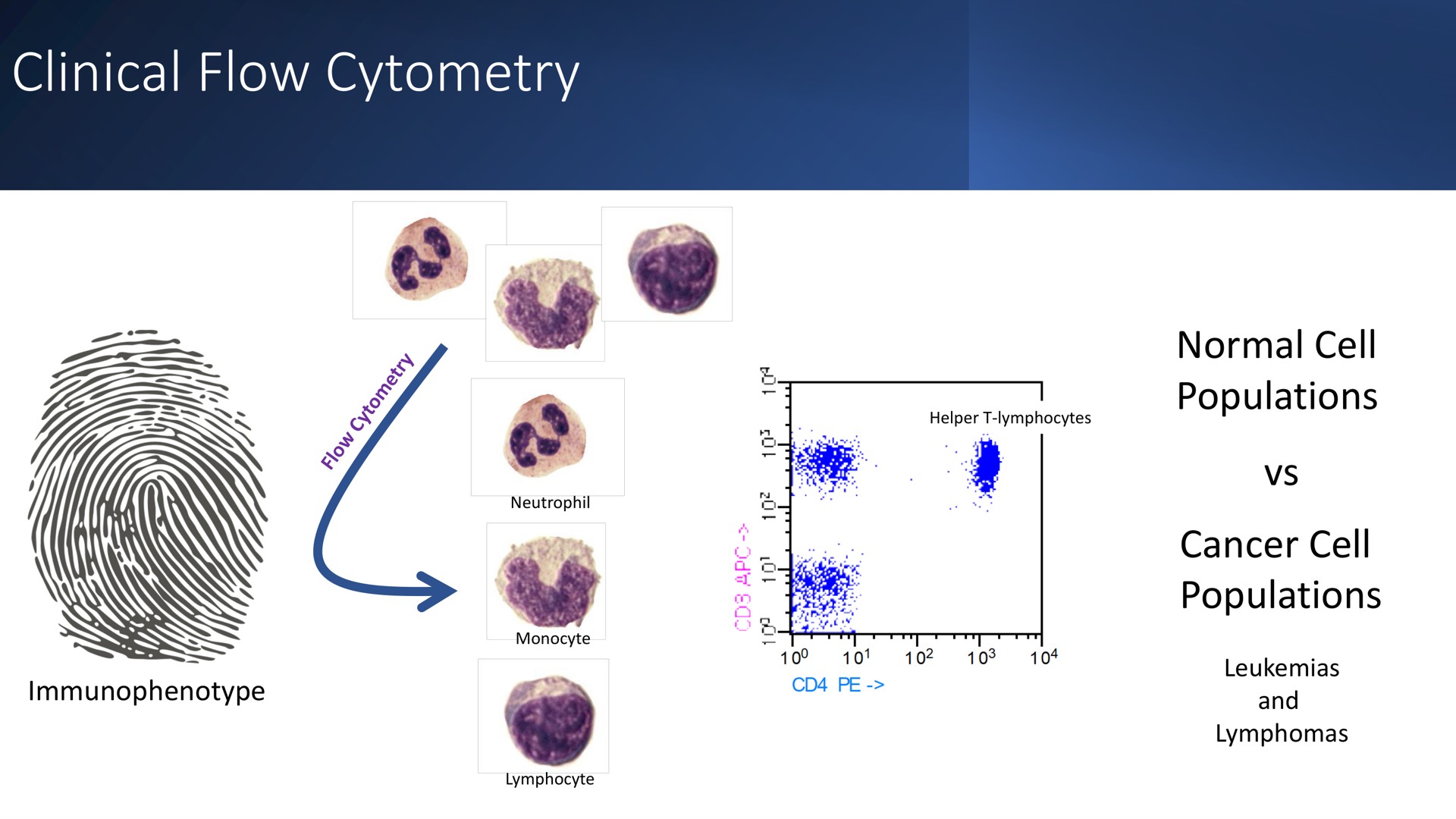 clinical flow normal cell populations cancer cell populations galler | Cytek