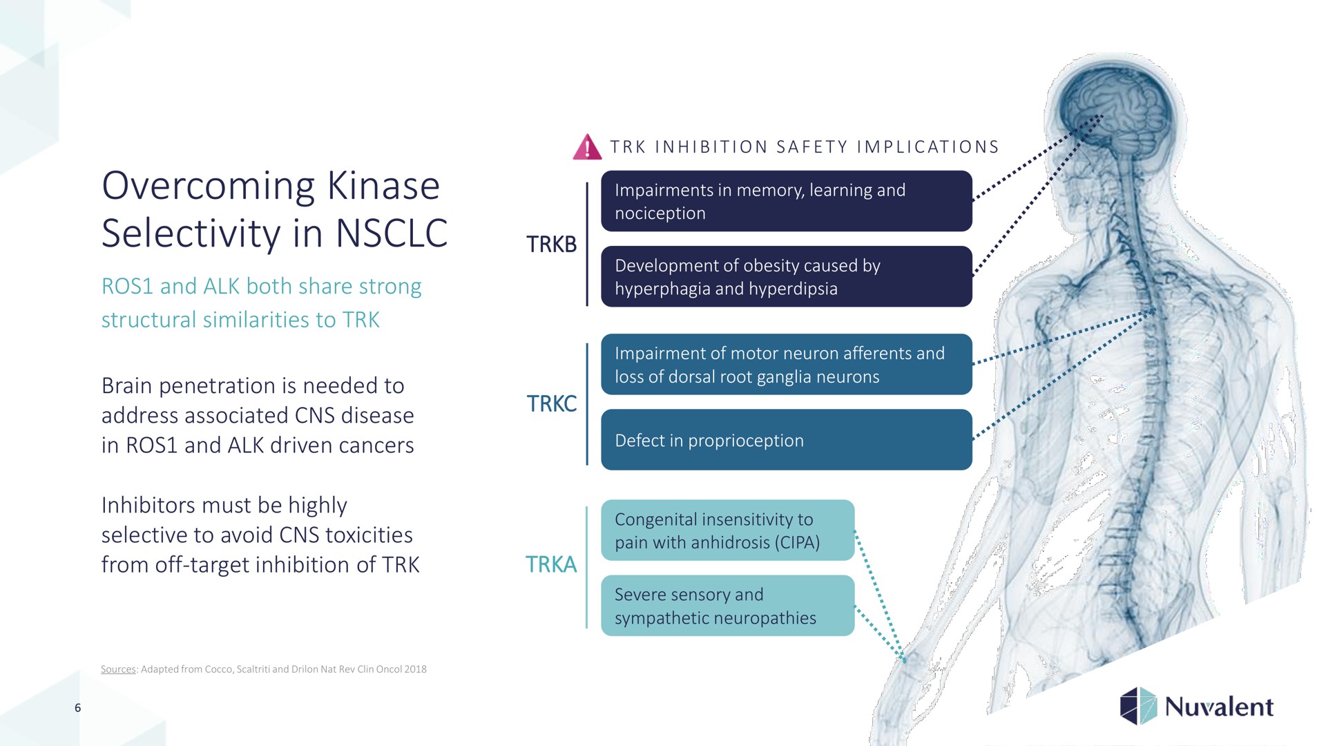 overcoming kinase selectivity in is and alk driven cancers a sol | Nuvalent
