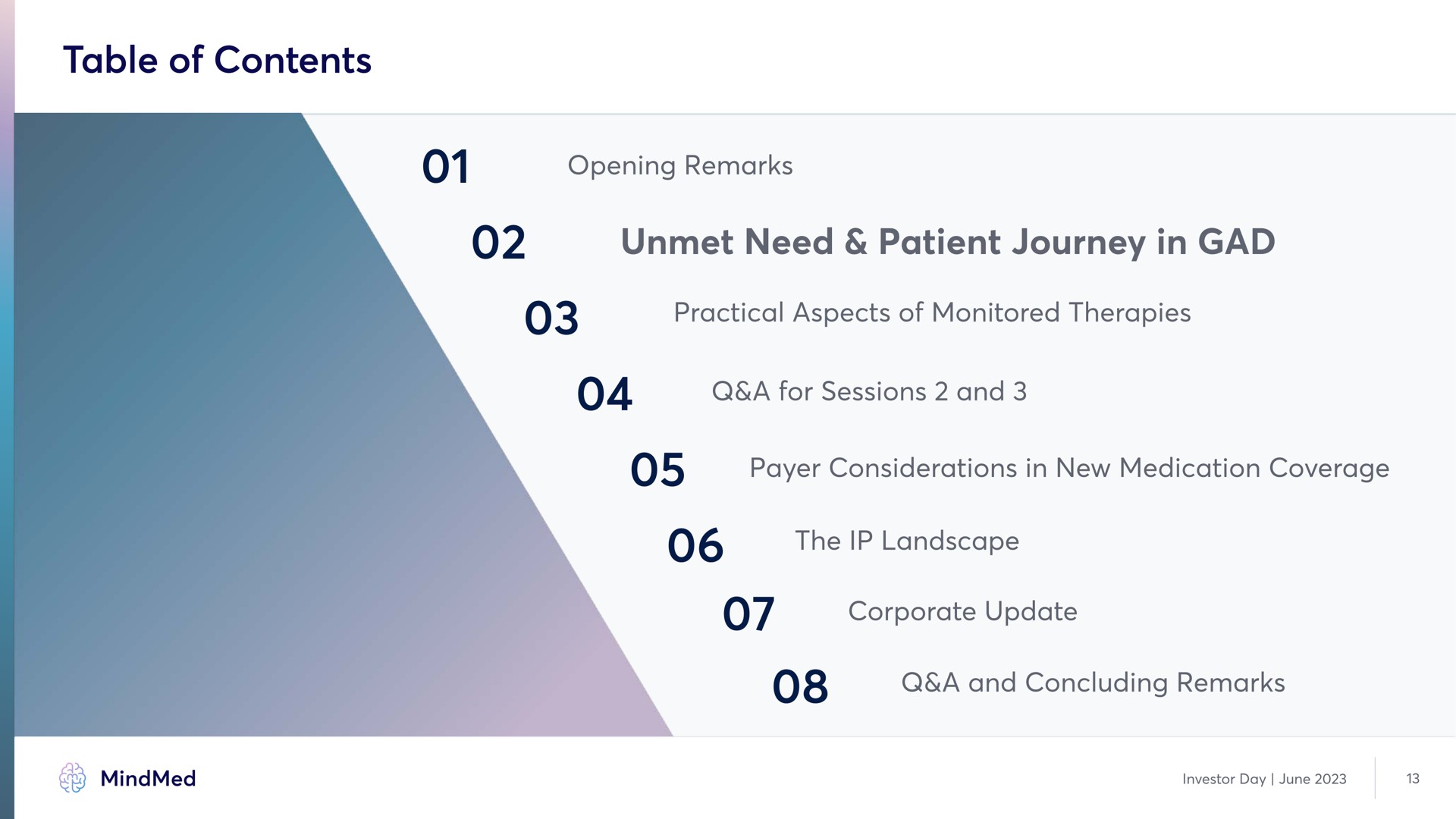 table of contents unmet need patient journey in gad | MindMed