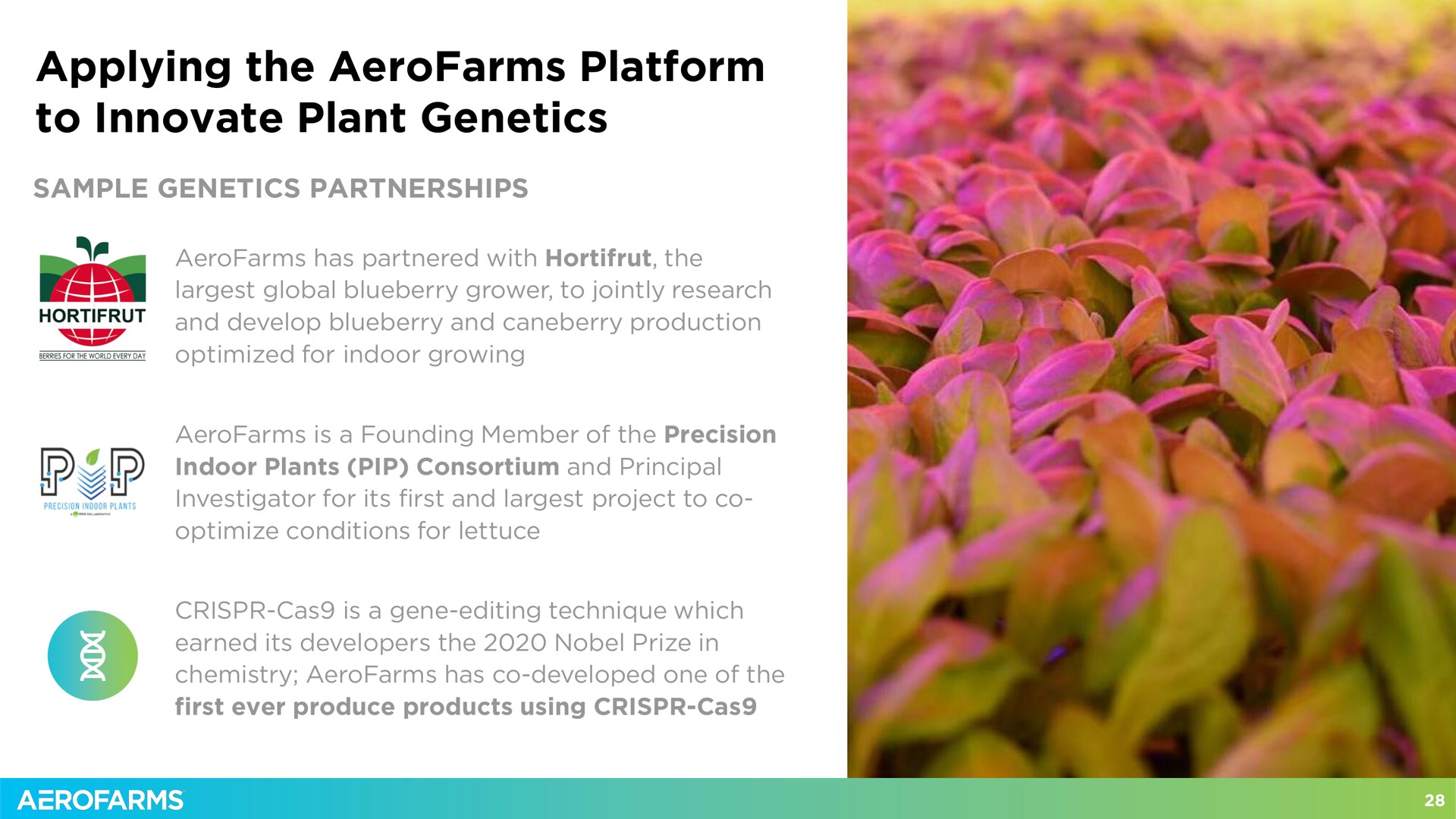 applying the platform to innovate plant genetics | AeroFarms