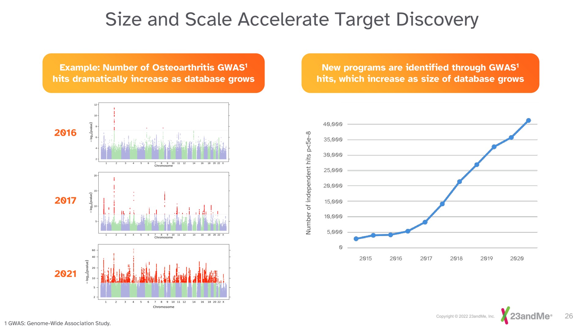 size and scale accelerate target discovery | 23andMe