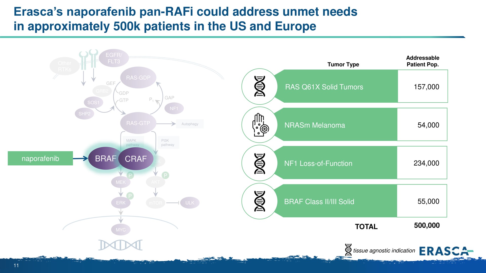 pan could address unmet needs in approximately patients in the us and total | Erasca