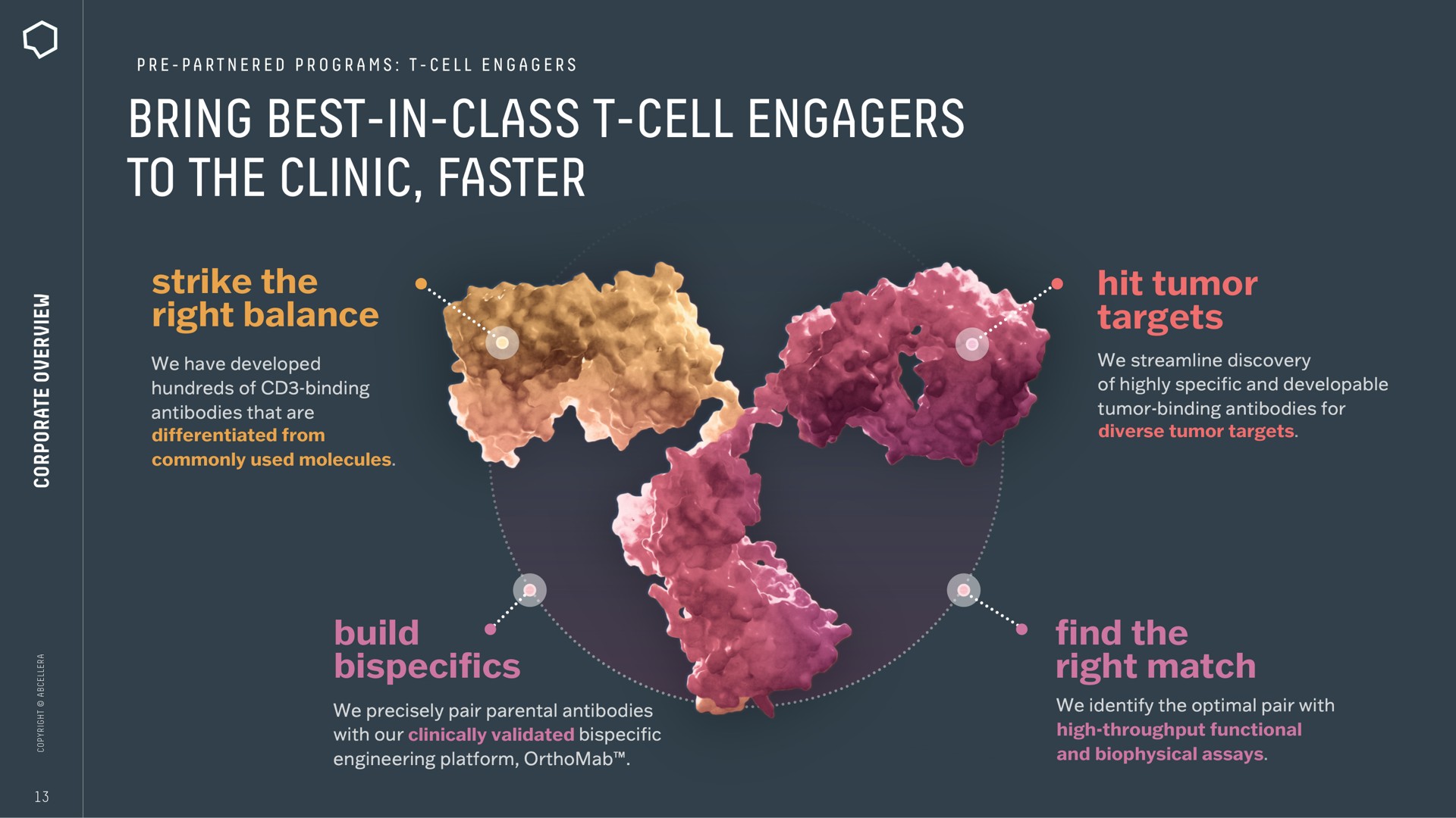 bring best in class cell to the clinic faster a | AbCellera