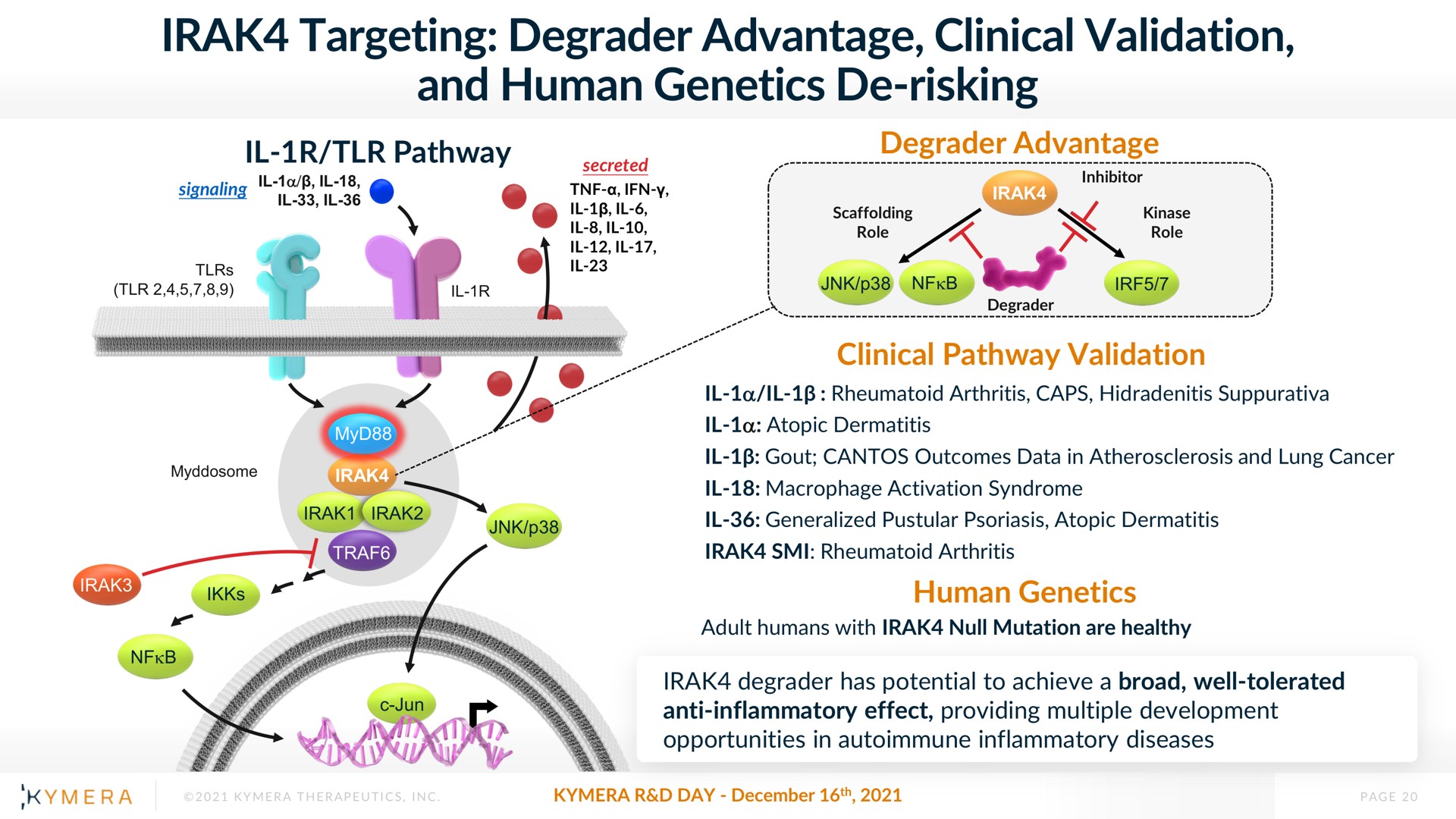 targeting degrader advantage clinical validation and human genetics risking | Kymera