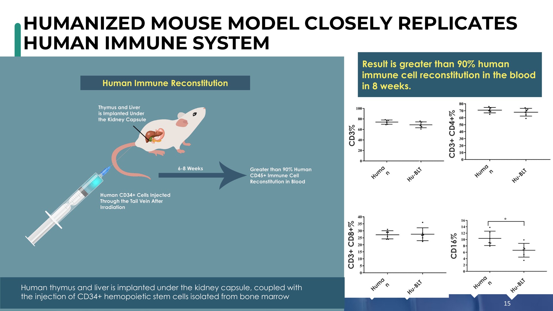 humanized mouse model closely replicates human immune system | Enochian Biosciences