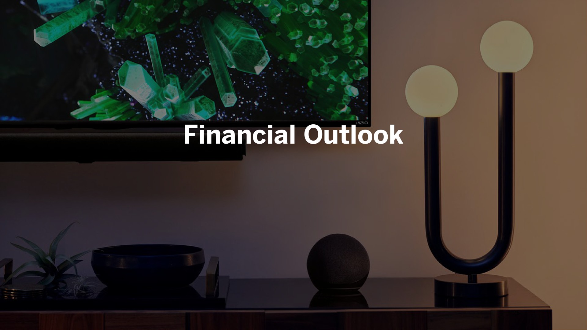 financial outlook | Vizio