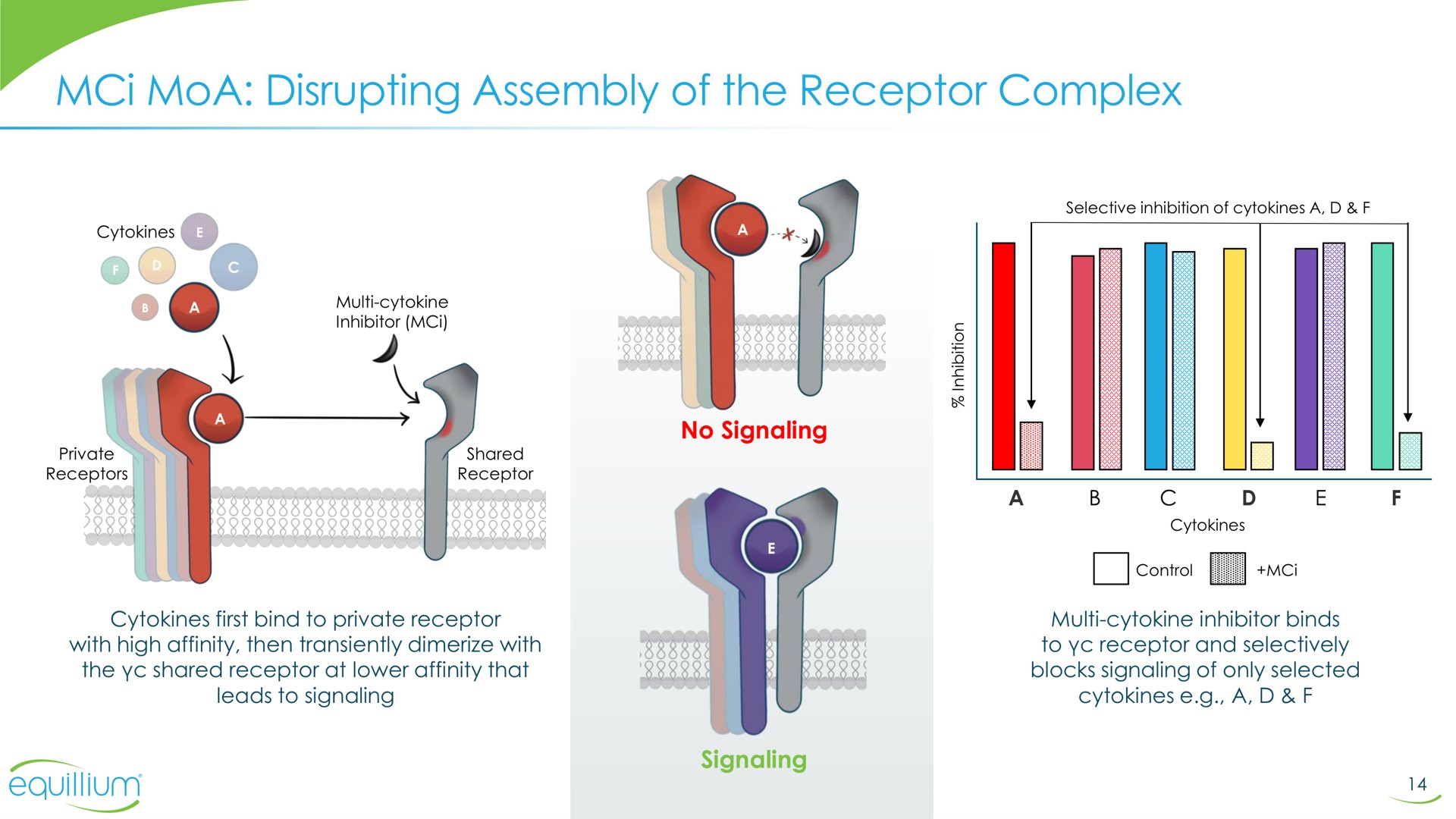 disrupting assembly of the receptor complex | Equillium