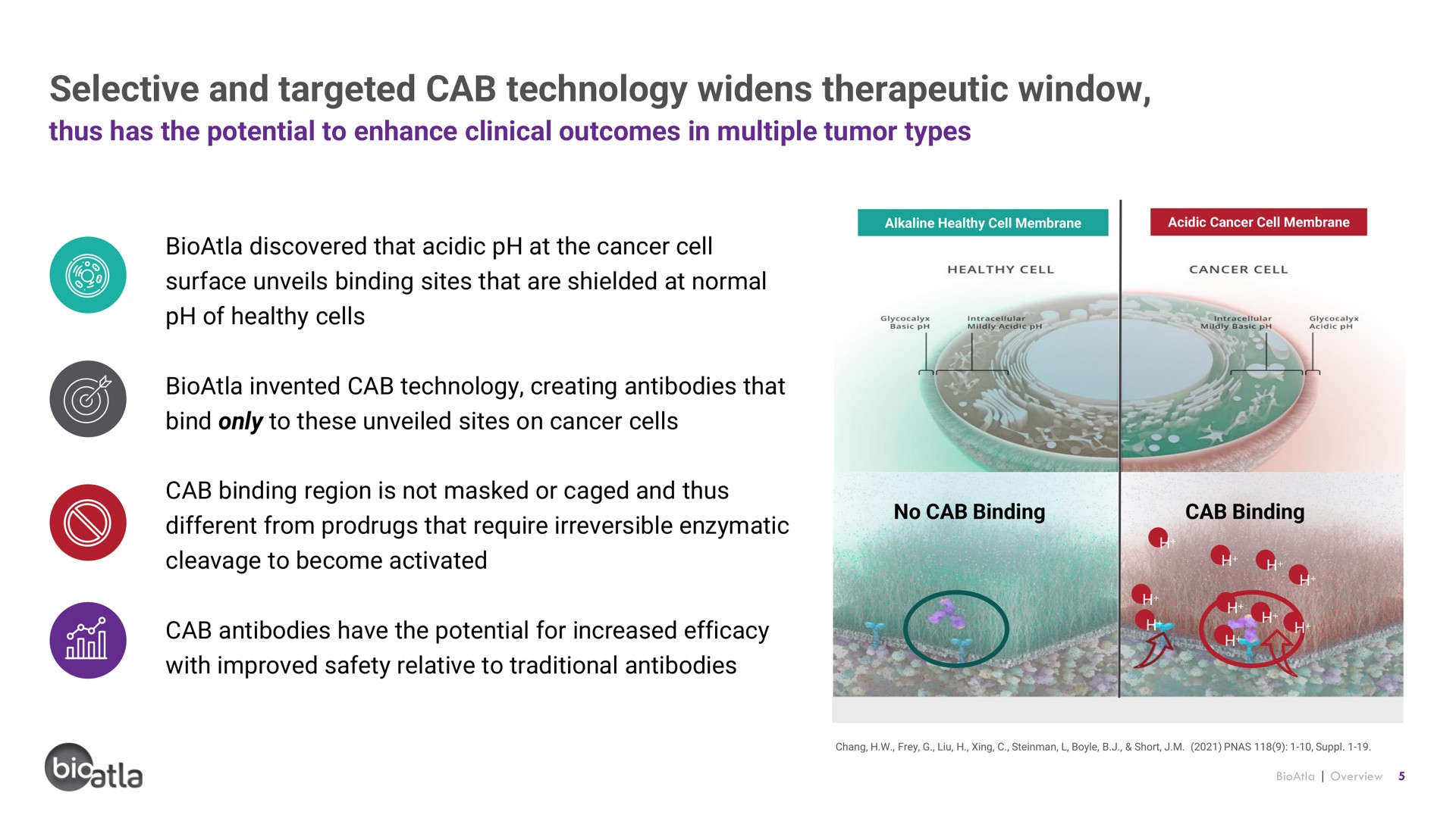 selective and targeted cab technology widens therapeutic window | BioAtla