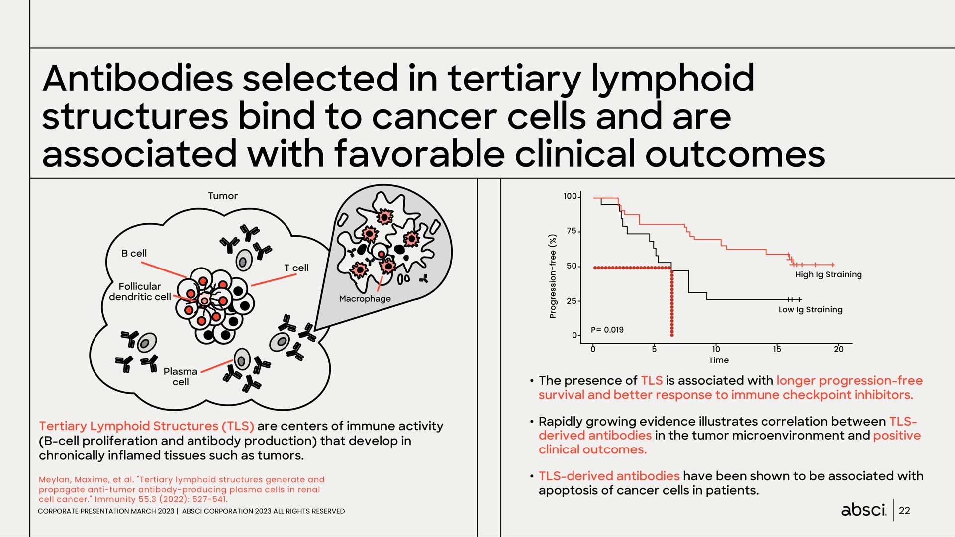 antibodies selected in tertiary lymphoid structures bind to cancer cells and are associated with favorable clinical outcomes go | Absci
