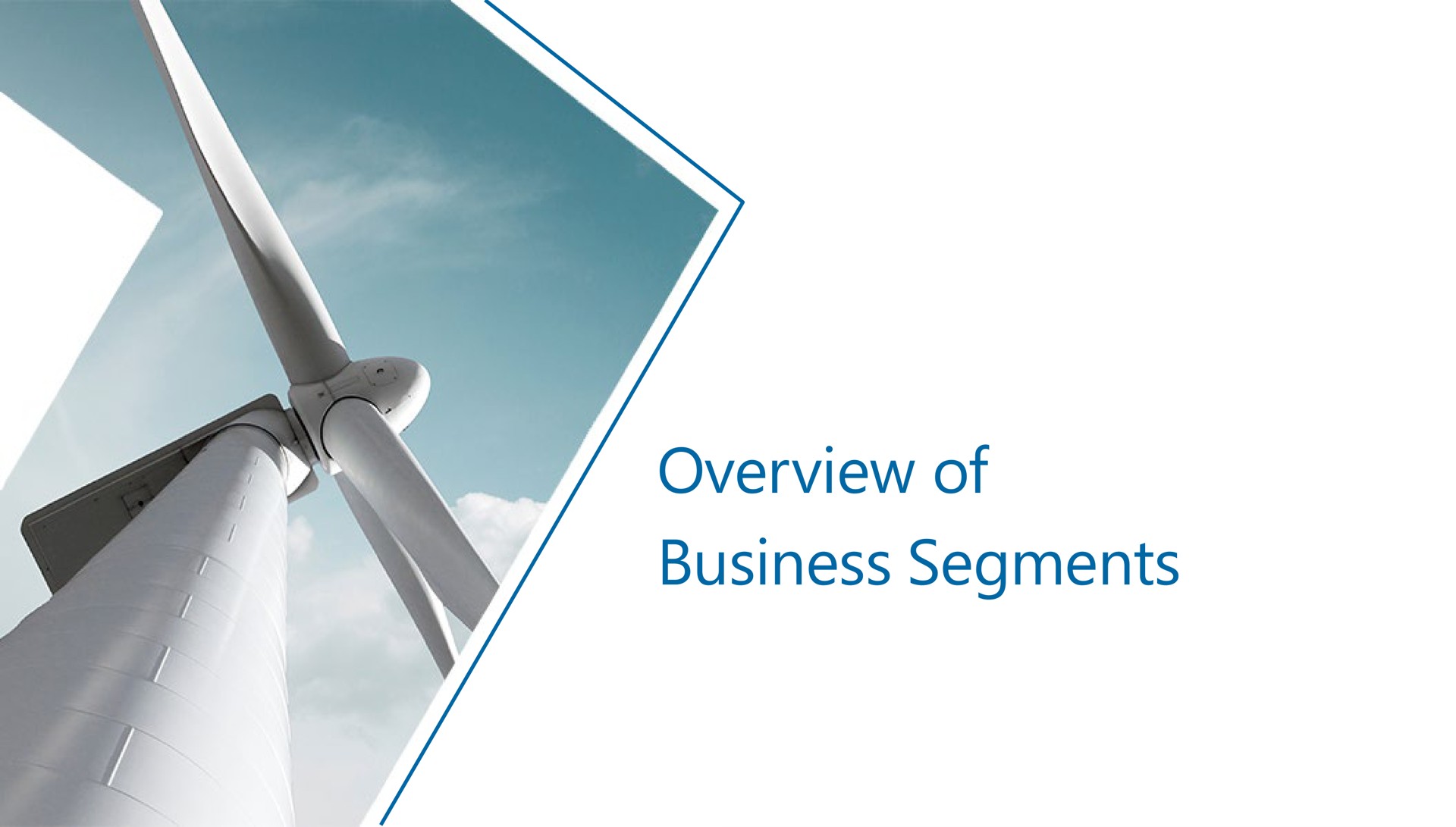 overview of business segments | Houlihan Lokey