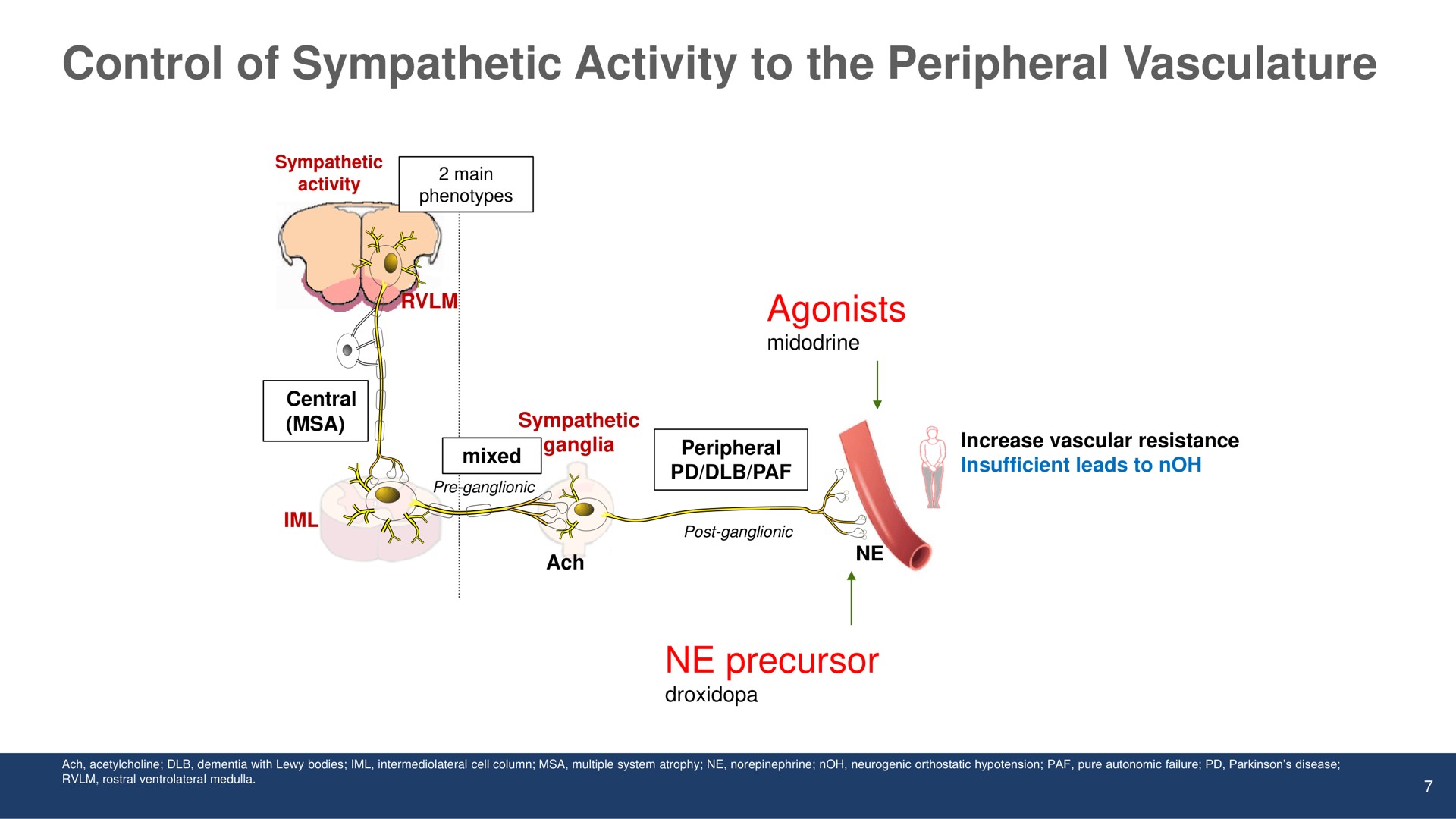 control of sympathetic activity to the peripheral vasculature | Theravance Biopharma