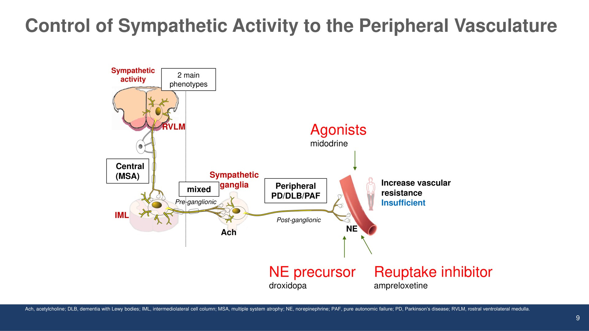 control of sympathetic activity to the peripheral vasculature | Theravance Biopharma