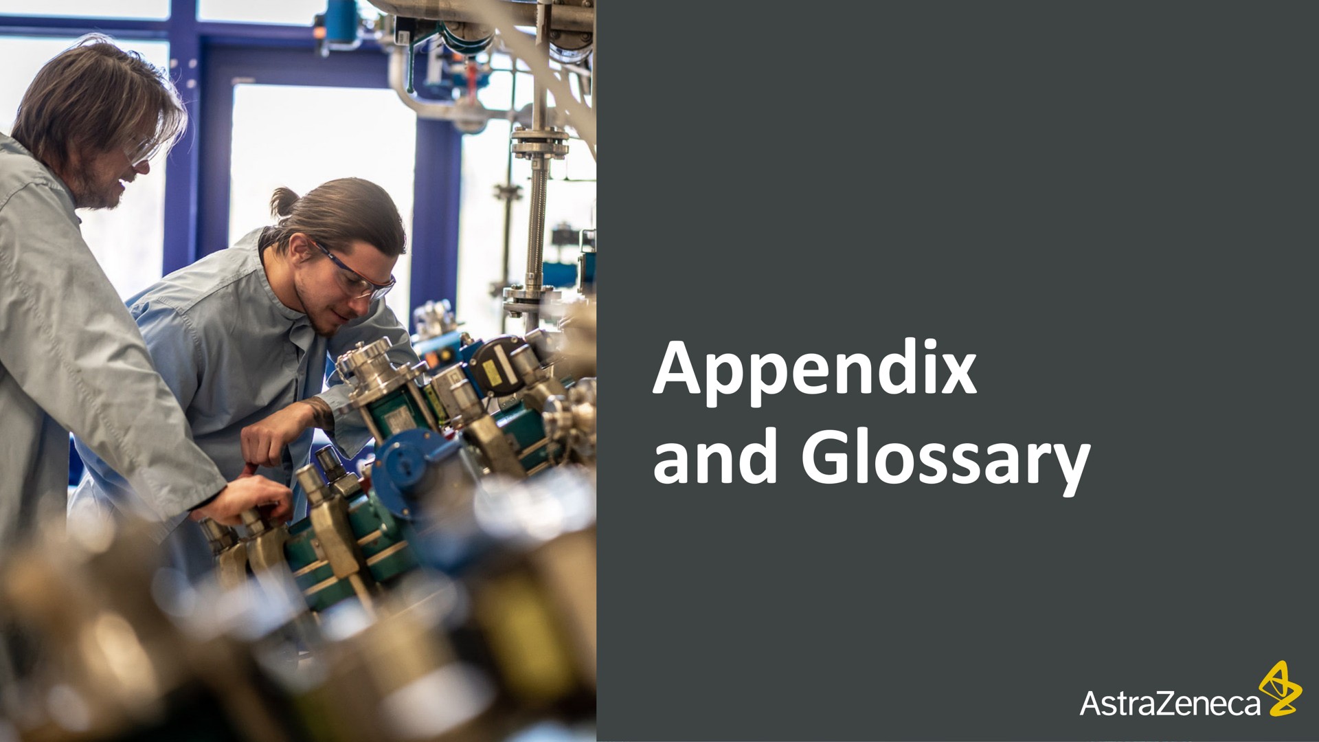 appendix and glossary is | AstraZeneca