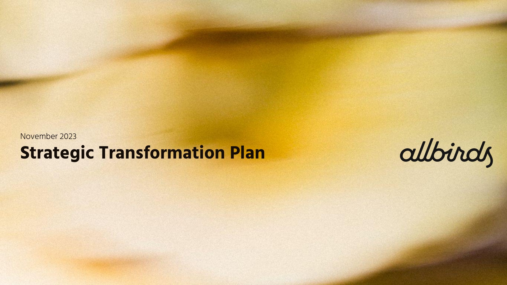 strategic transformation plan | Allbirds