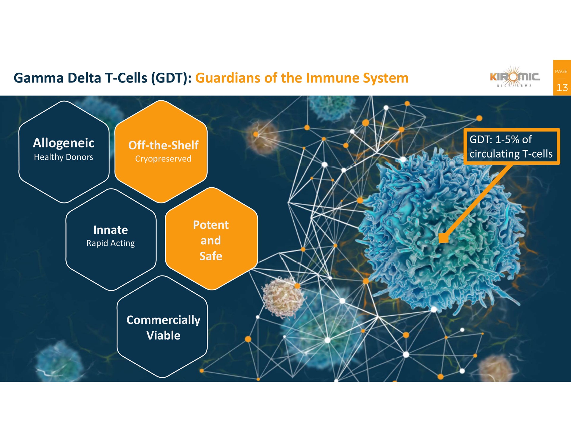 gamma delta cells guardians of the immune system off the shelf innate potent and safe commercially viable | Kiromic BioPharma