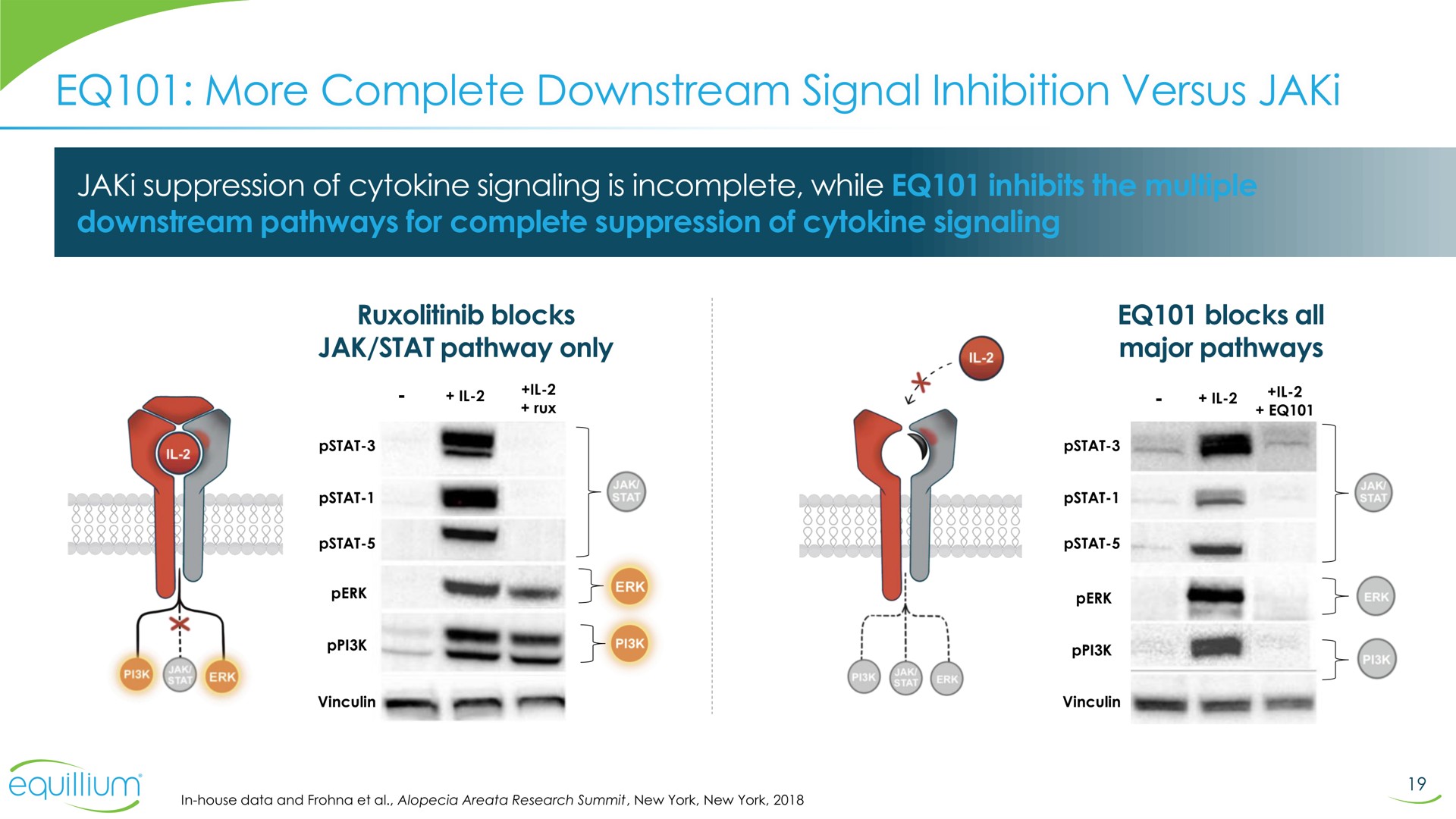 more complete downstream signal inhibition versus so a | Equillium
