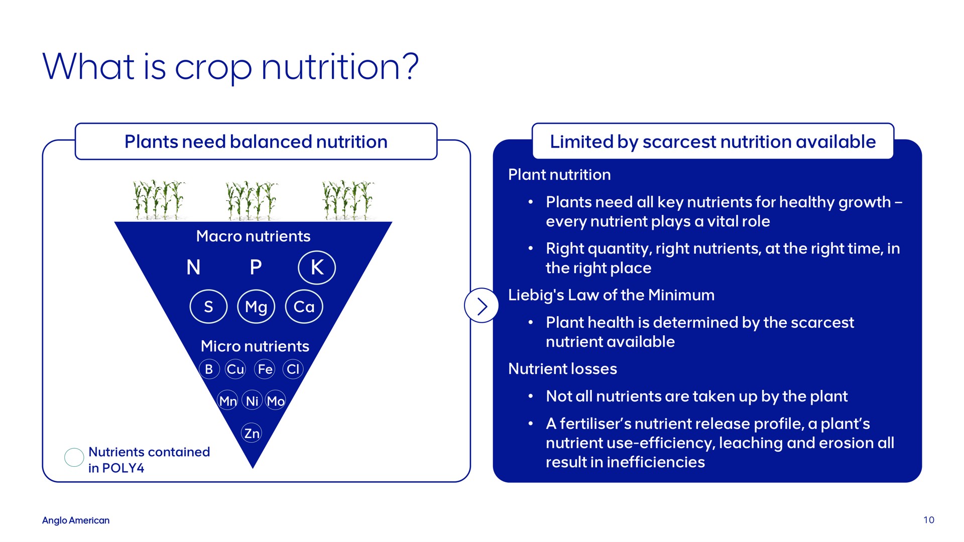 what is crop nutrition nes | AngloAmerican