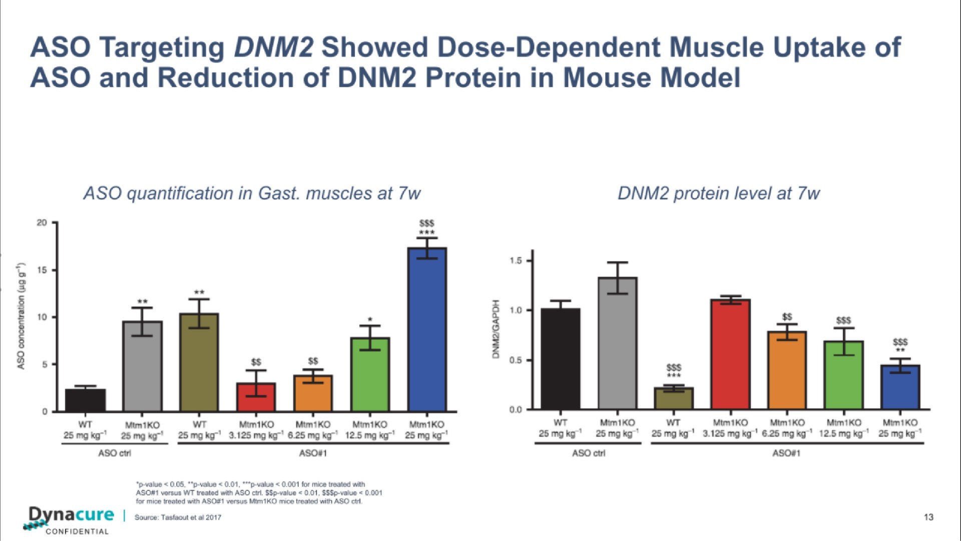 targeting showed dose dependent muscle uptake of and reduction of protein in mouse model | Dynacure