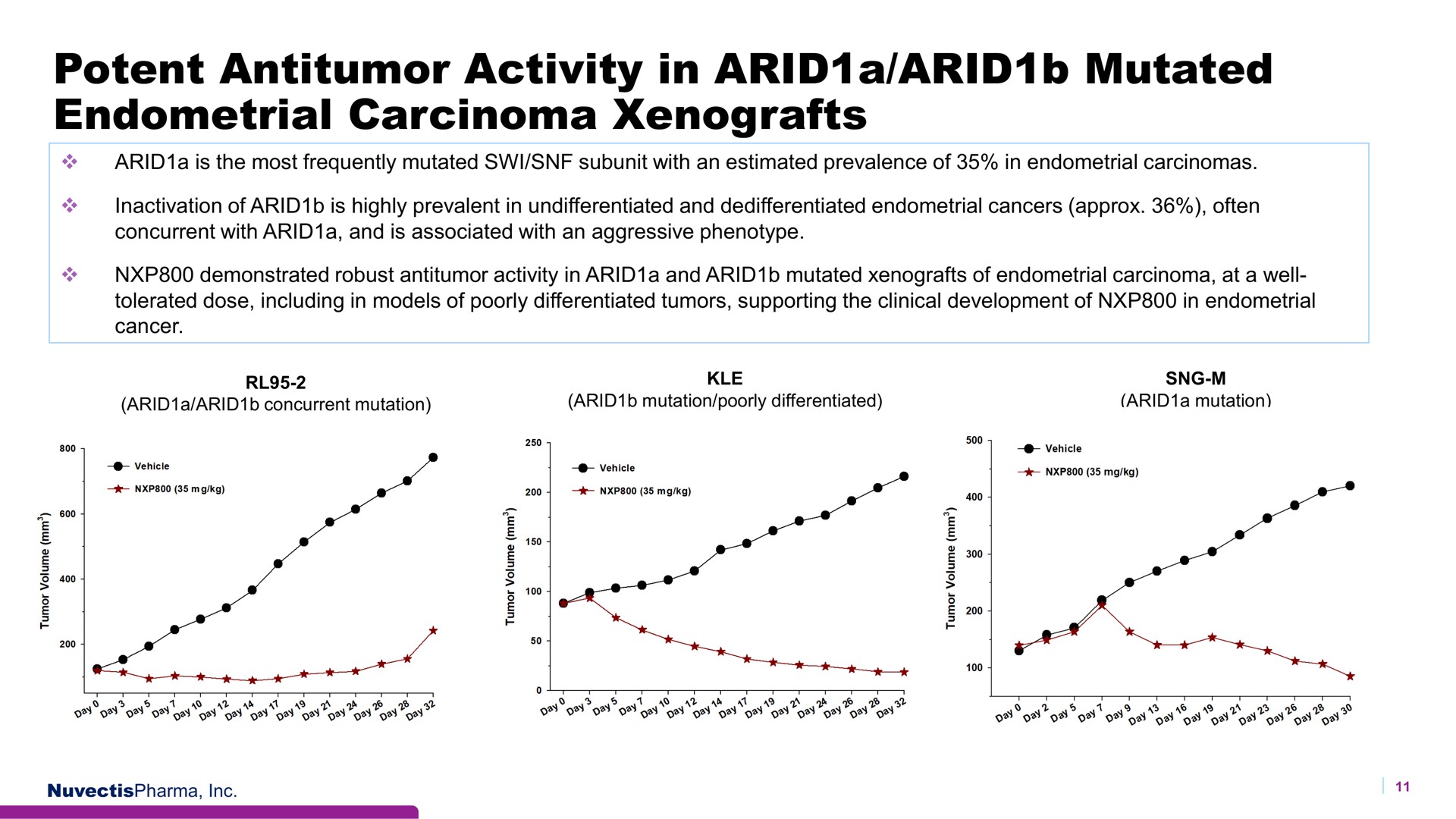 potent activity in arid a arid mutated endometrial carcinoma | Nuvectis Pharma