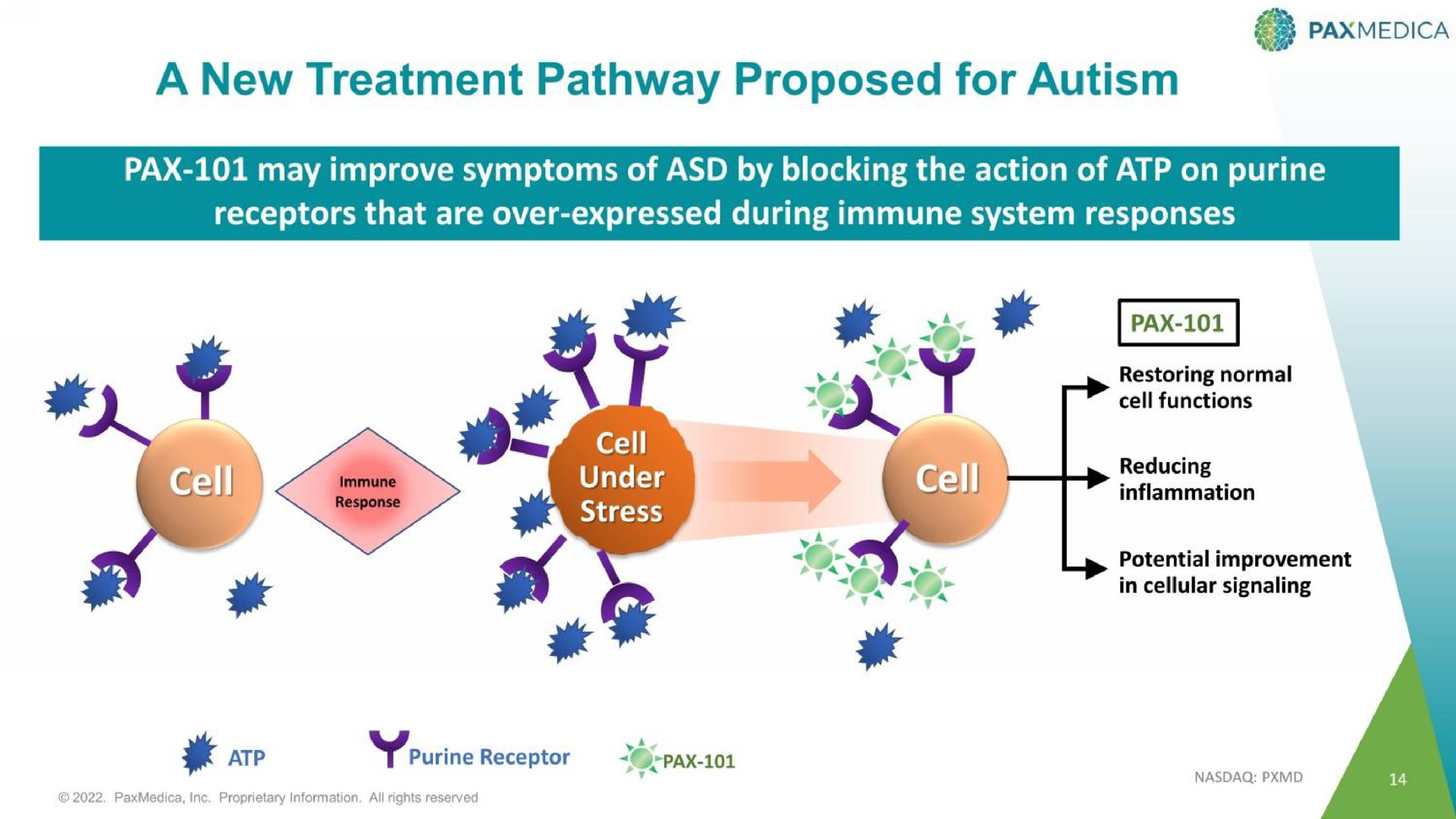 a new treatment pathway proposed for autism | PaxMedica