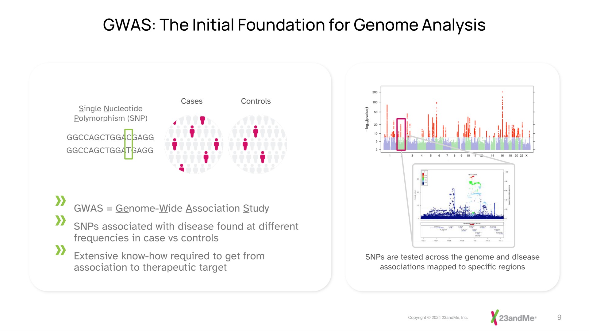 the initial foundation for genome analysis scree am ate | 23andMe