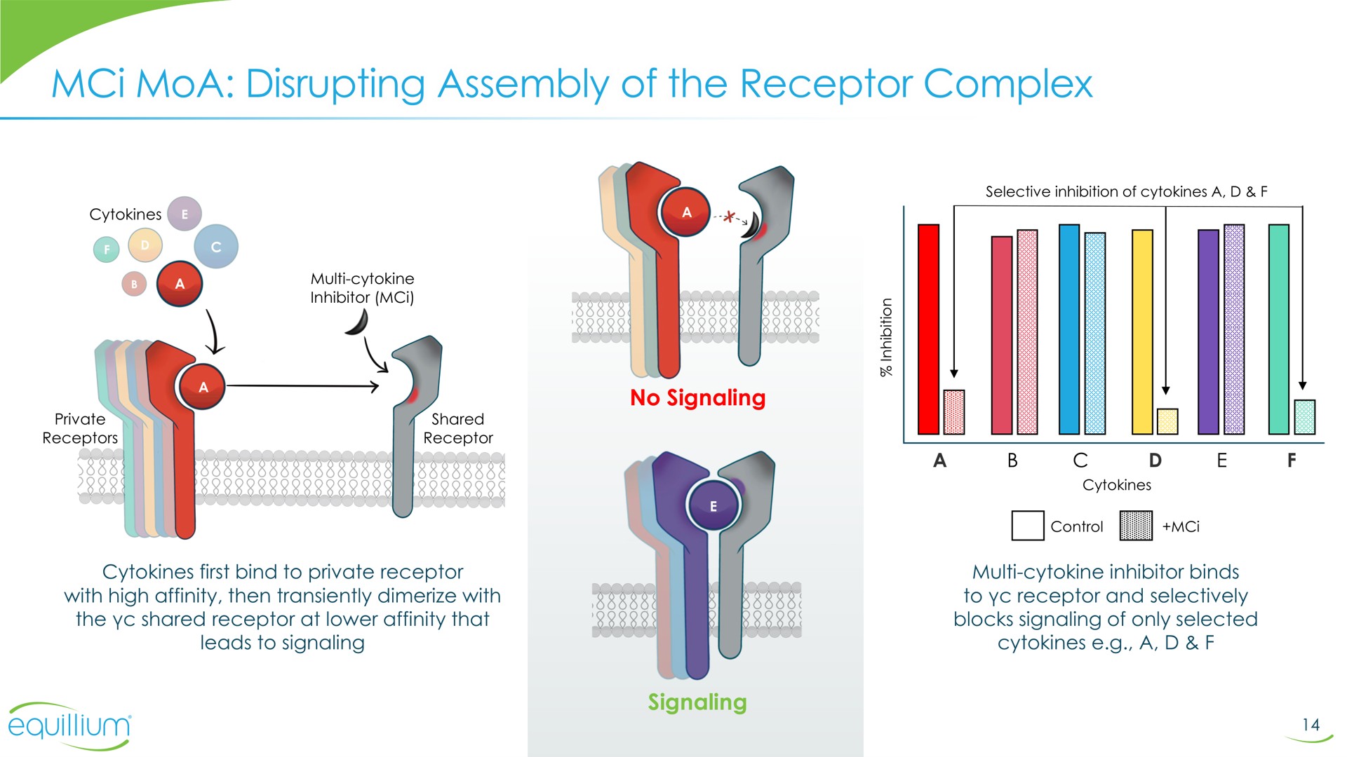 disrupting assembly of the receptor complex | Equillium