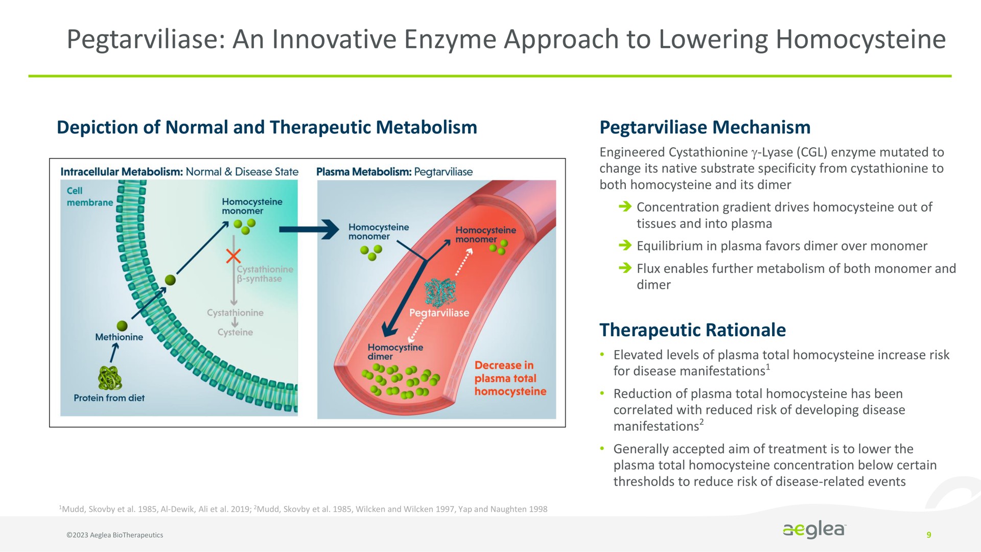 an innovative enzyme approach to lowering | Aeglea BioTherapeutics