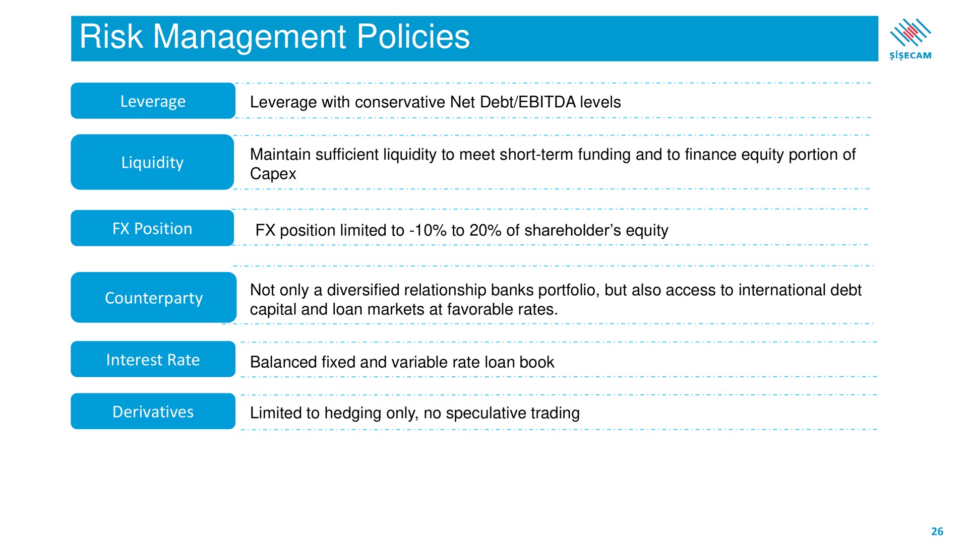 risk management policies leverage liquidity position interest rate derivatives | Sisecam Resources