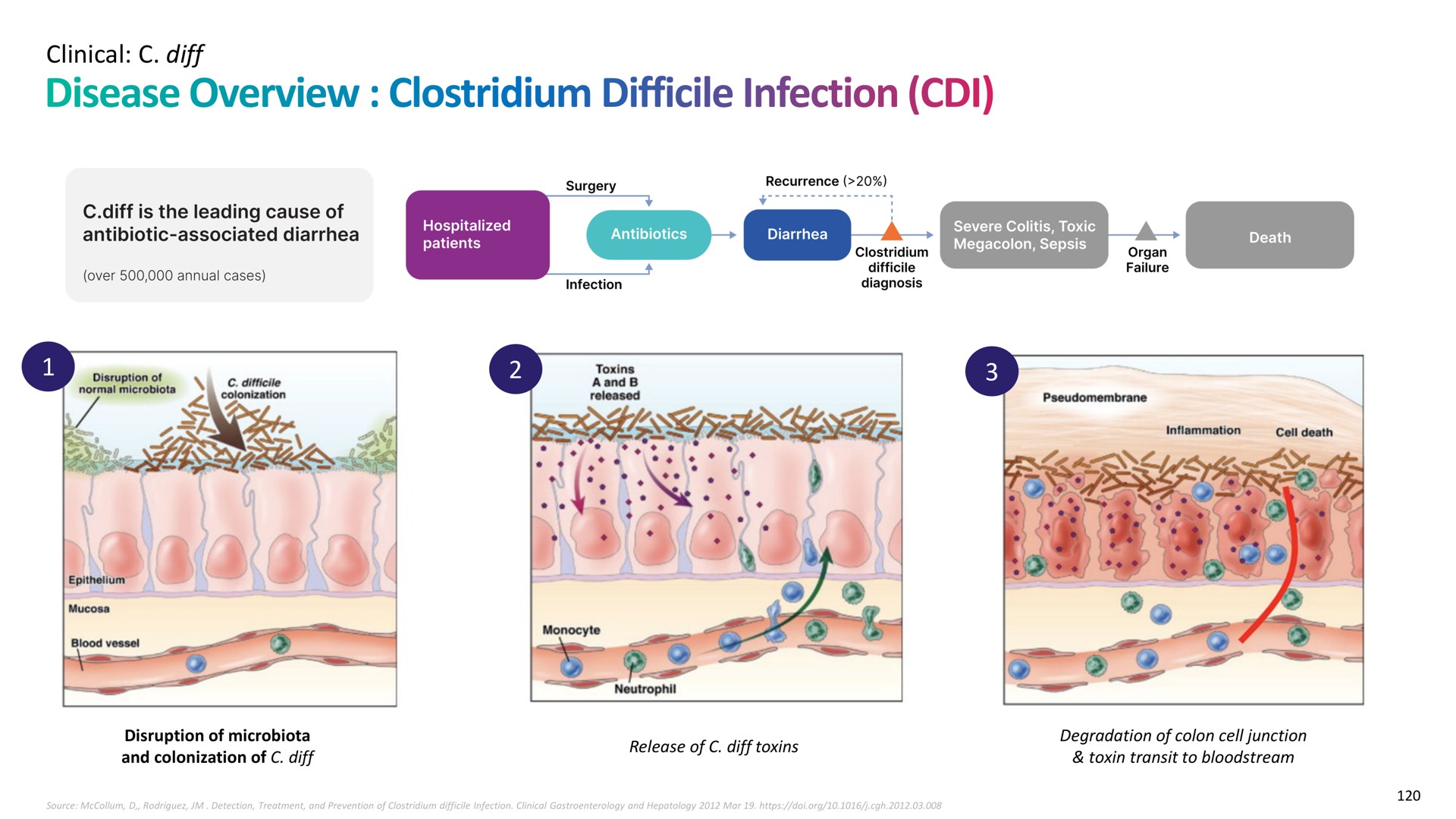 clinical disease overview difficile infection | Recursion Pharmaceuticals