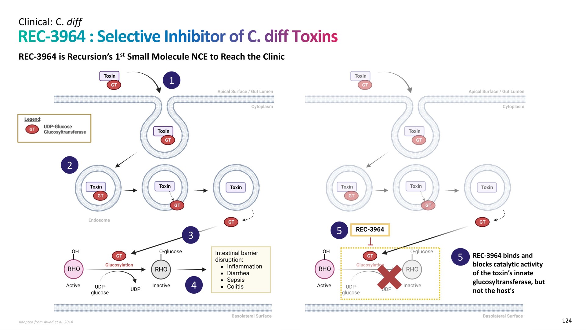 clinical is recursion small molecule to reach the clinic selective inhibitor of toxins | Recursion Pharmaceuticals