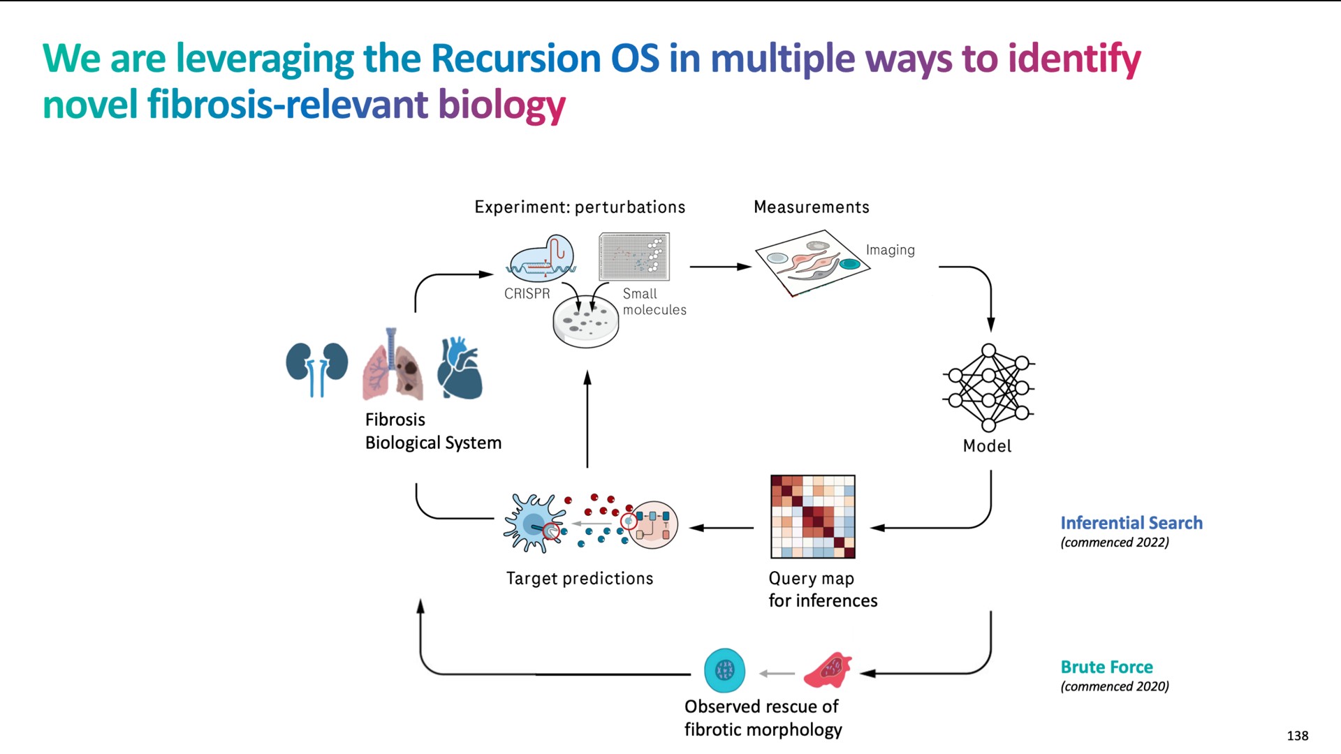 we are leveraging the recursion in multiple ways to identify novel fibrosis relevant biology | Recursion Pharmaceuticals