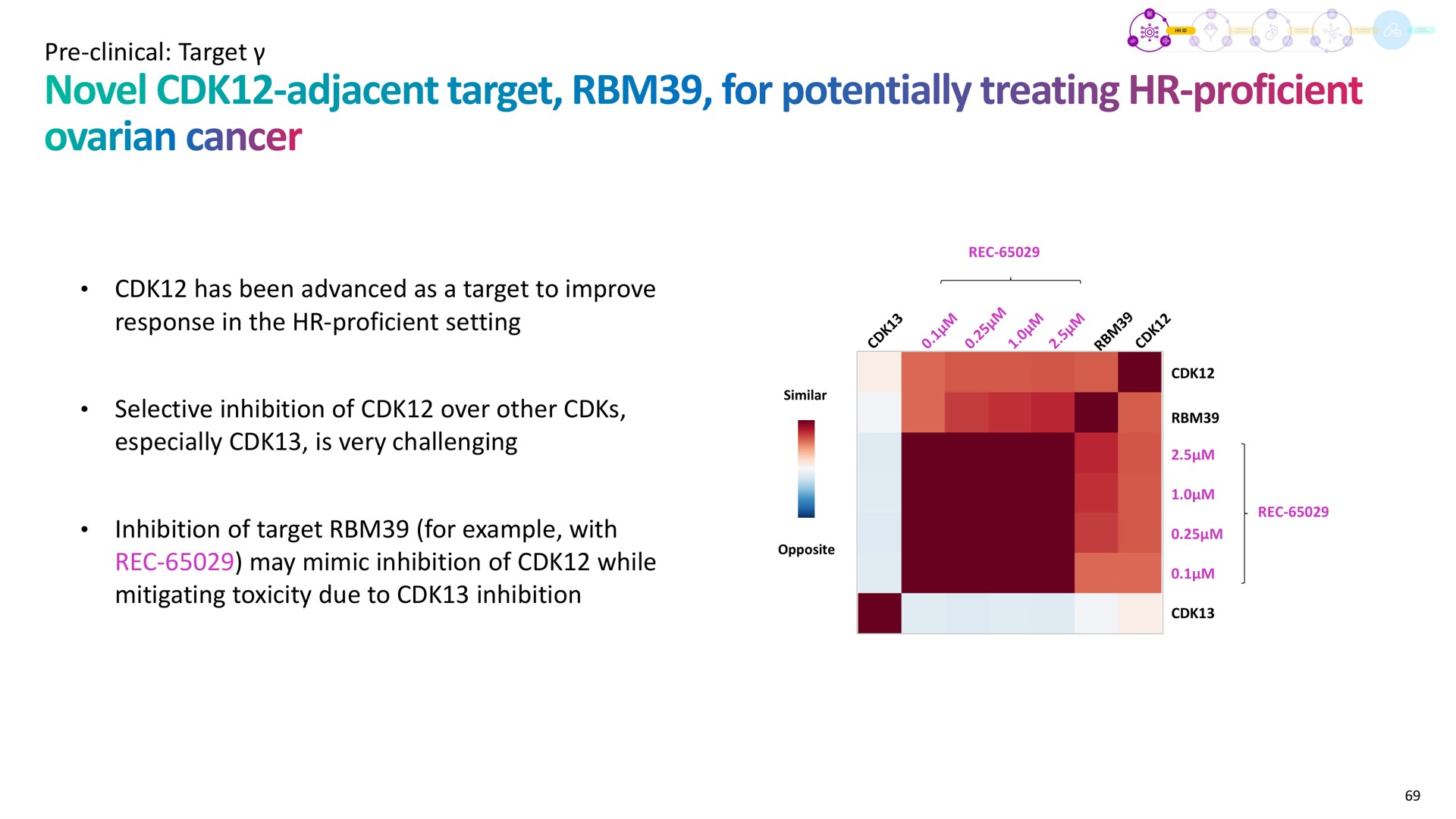 clinical target has been advanced as a target to improve response in the proficient setting selective inhibition of over other especially is very challenging inhibition of target for example with may mimic inhibition of while mitigating toxicity due to inhibition novel adjacent potentially treating | Recursion Pharmaceuticals