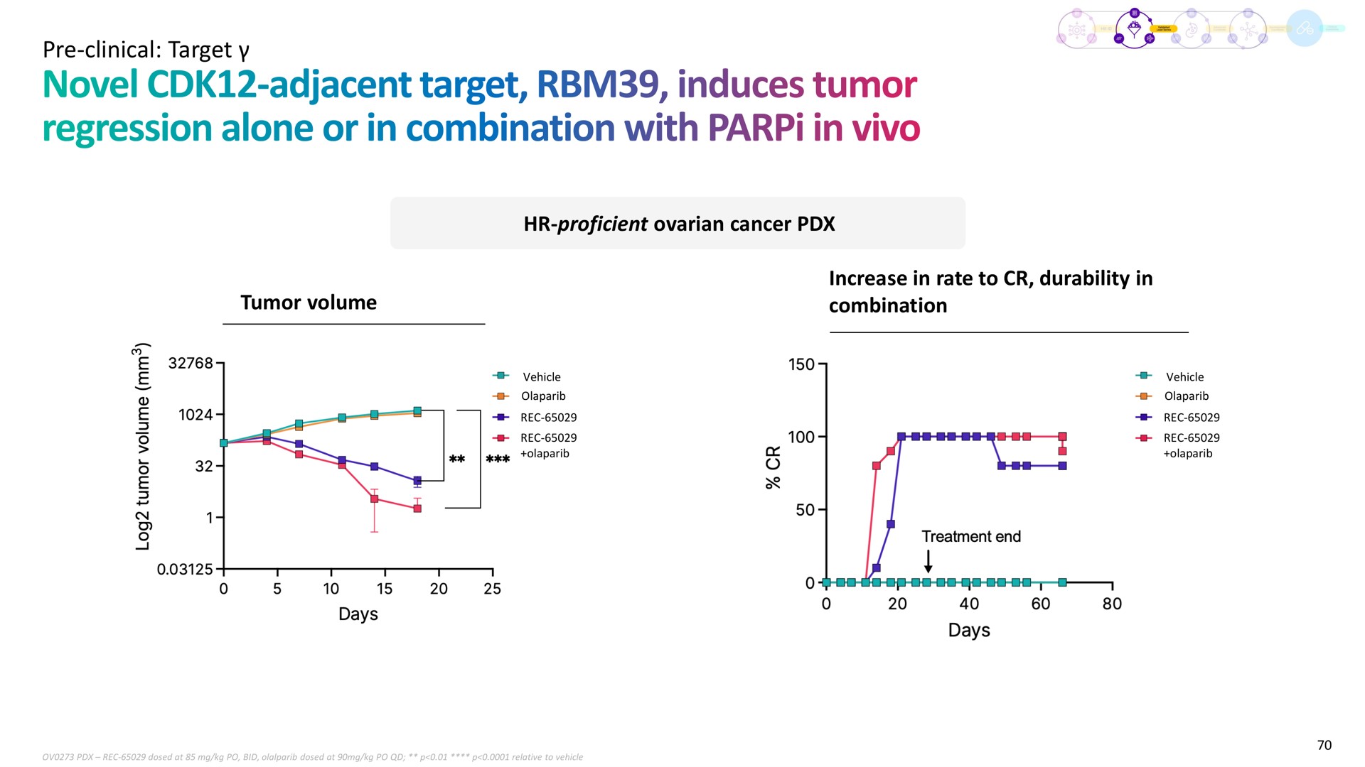 clinical target proficient ovarian cancer tumor volume increase in rate to durability in combination novel adjacent induces regression alone or with | Recursion Pharmaceuticals