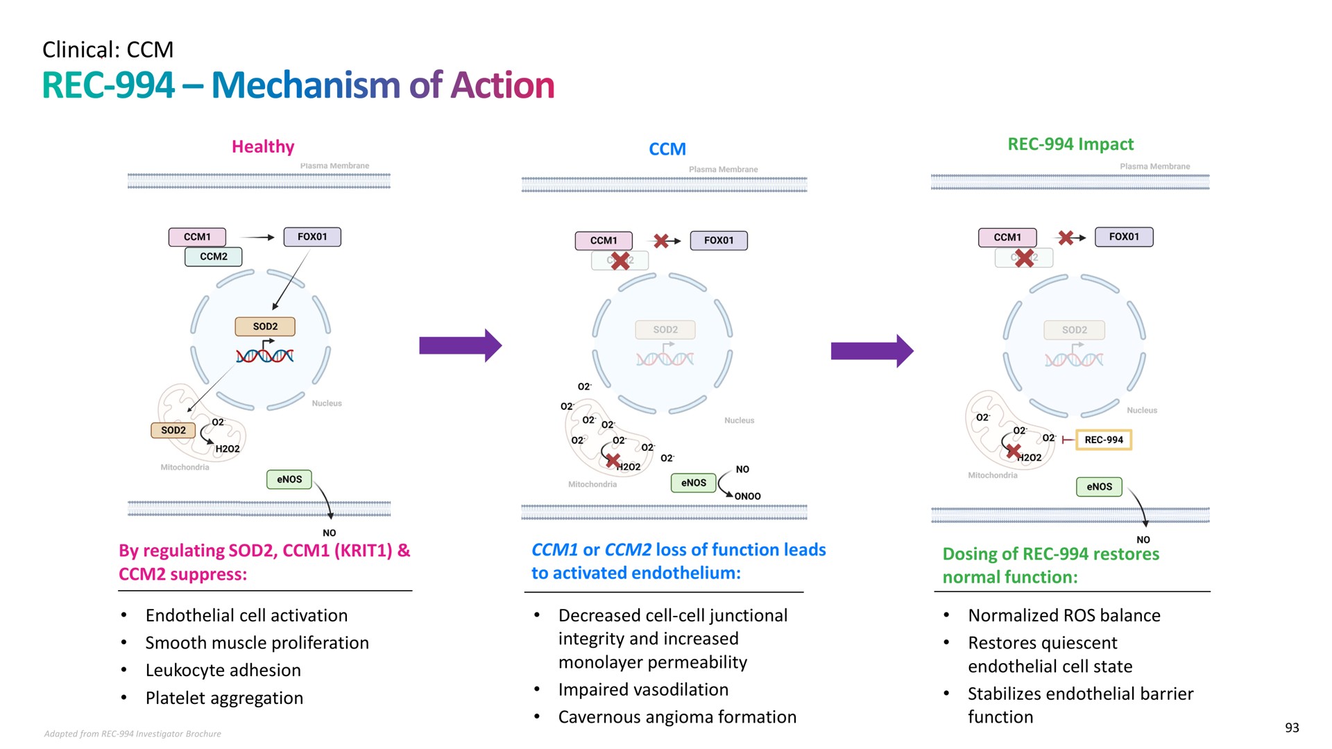 clinical mechanism of action | Recursion Pharmaceuticals