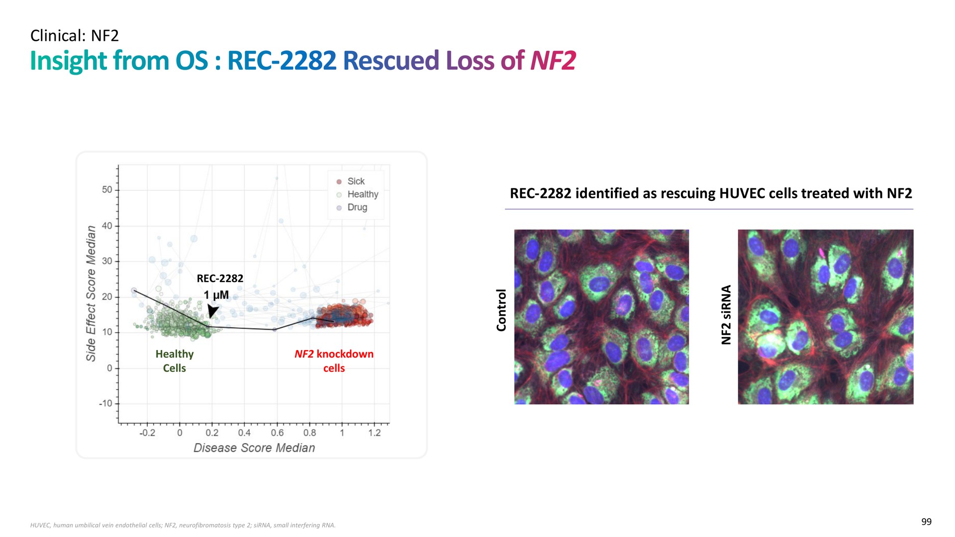clinical identified as rescuing cells treated with insight from rescued loss of | Recursion Pharmaceuticals
