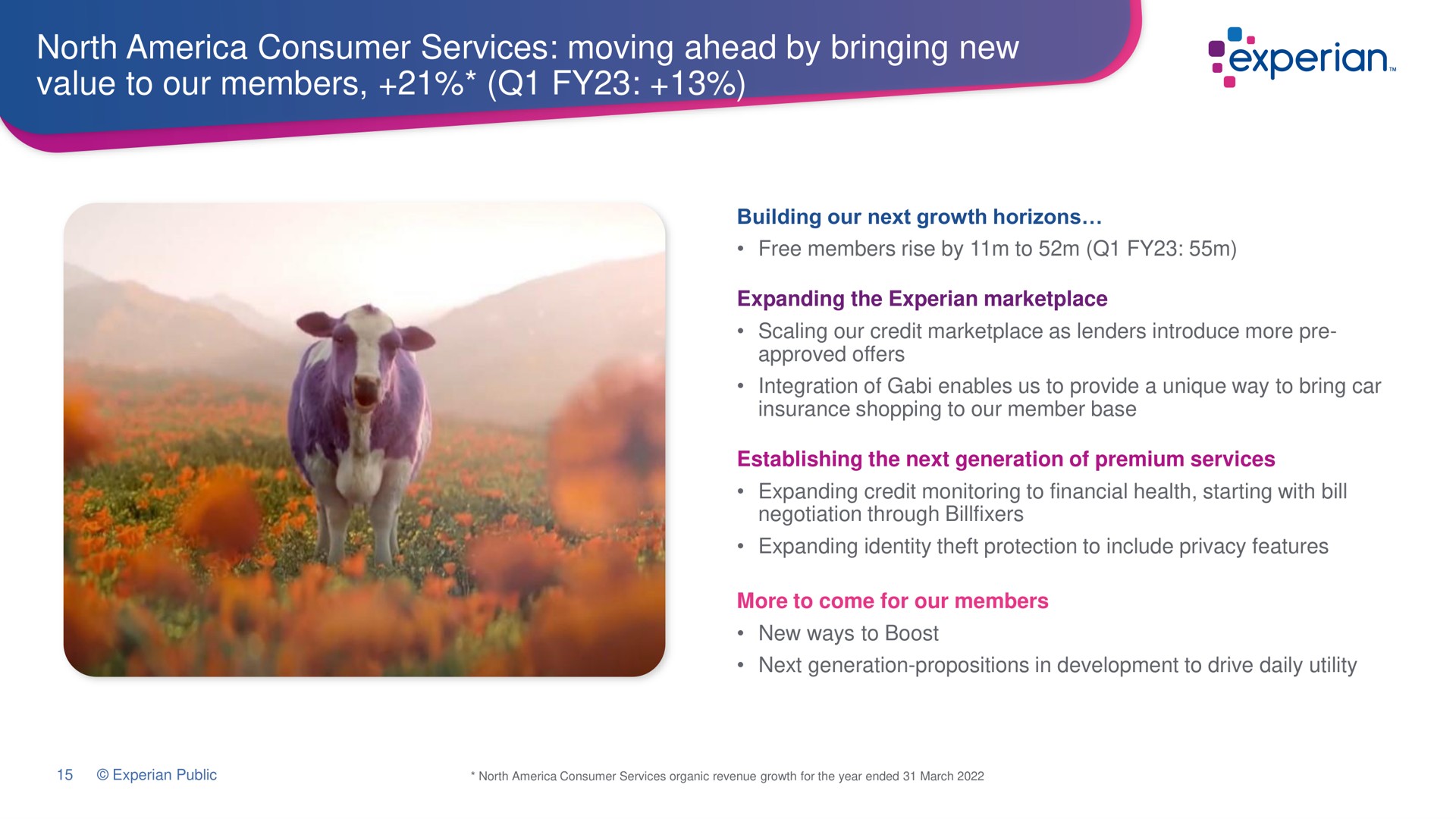 north consumer services moving ahead by bringing new value to our members so a | Experian