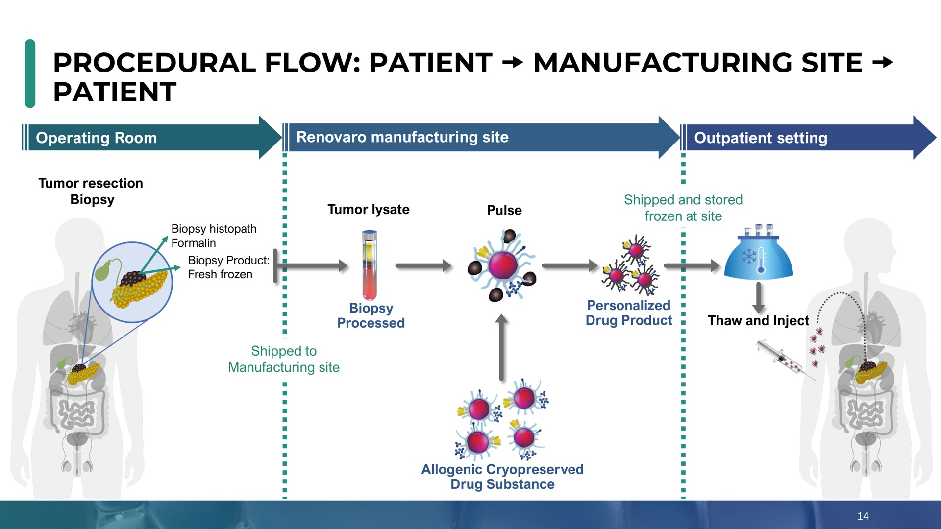 procedural flow patient manufacturing site patient | Enochian Biosciences