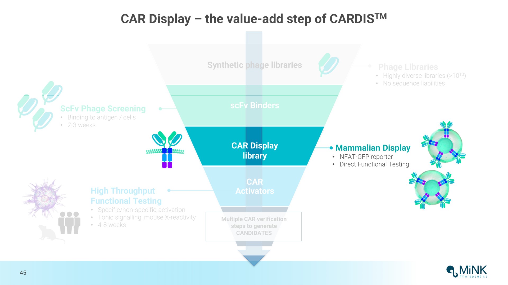 car display the value add step of | Mink Therapeutics