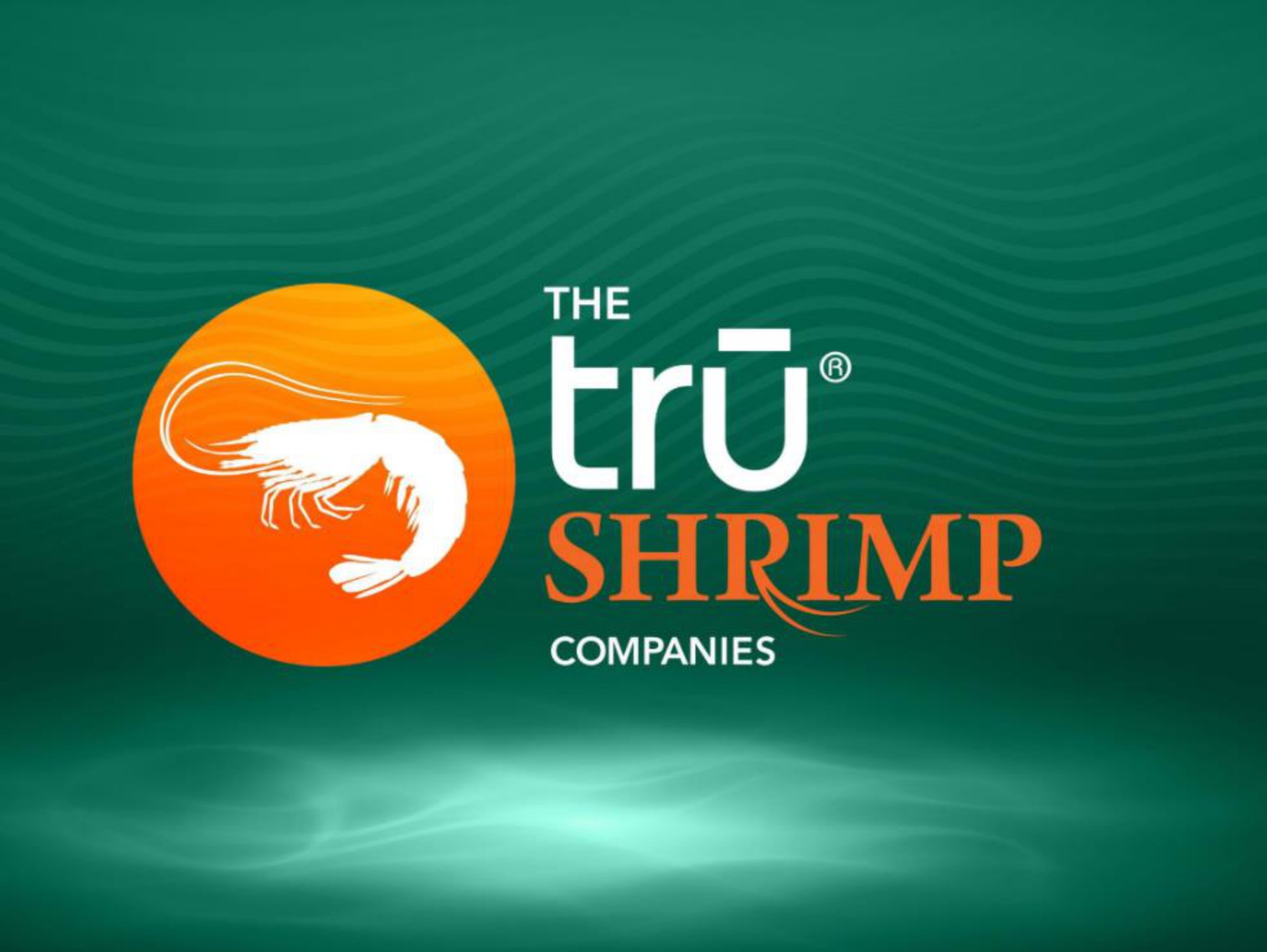  | tru Shrimp