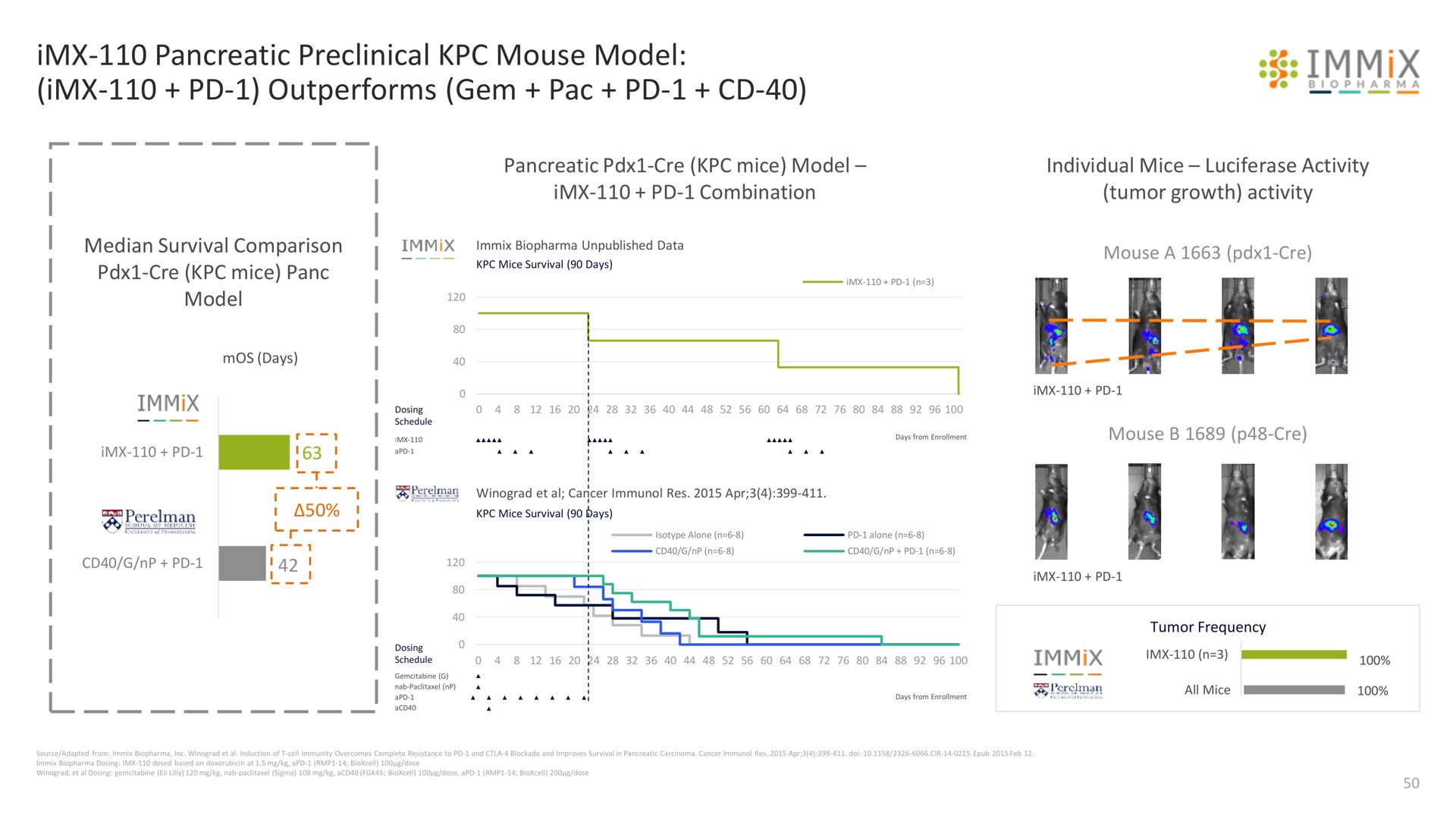 pancreatic preclinical mouse model outperforms gem pac immix ree | Immix Biopharma