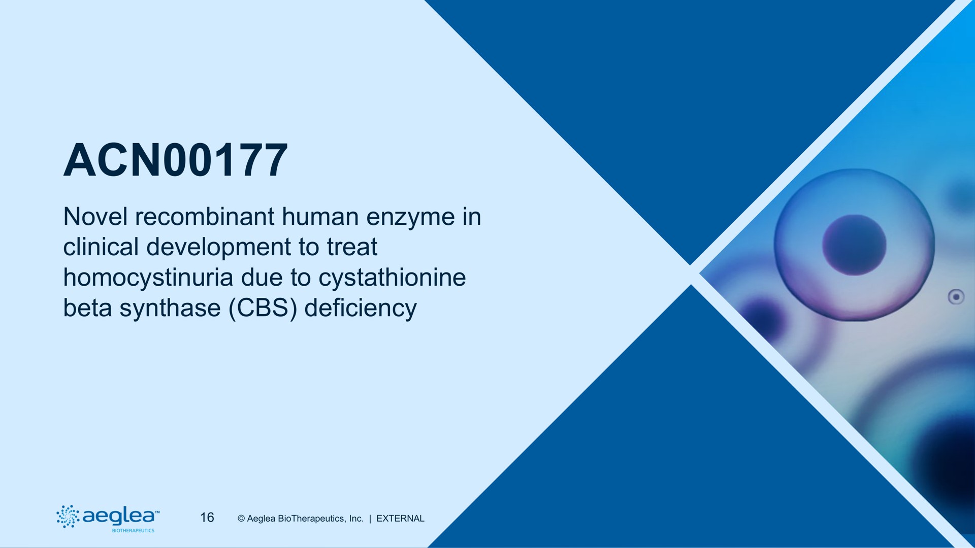 novel human enzyme in clinical development to treat due to beta deficiency | Aeglea BioTherapeutics